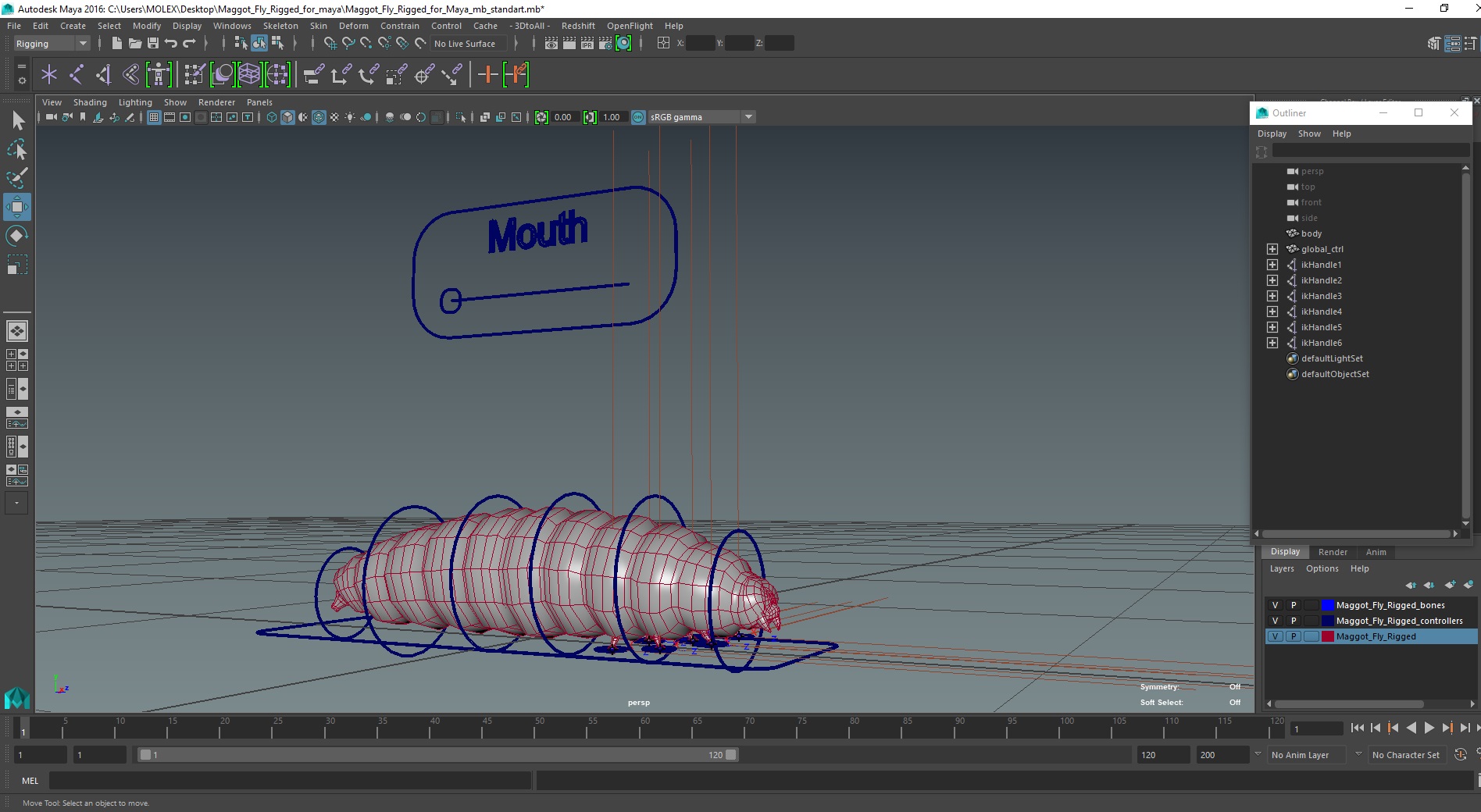 3D Maggot Fly Rigged for Maya