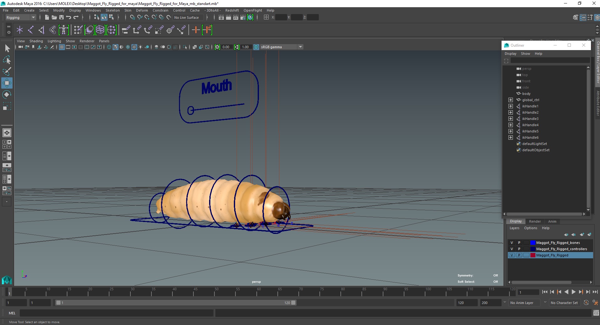 3D Maggot Fly Rigged for Maya