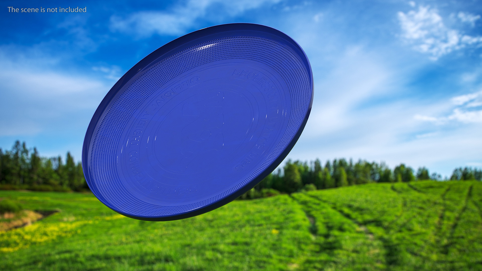 3D model Professional Frisbee Disc Blue