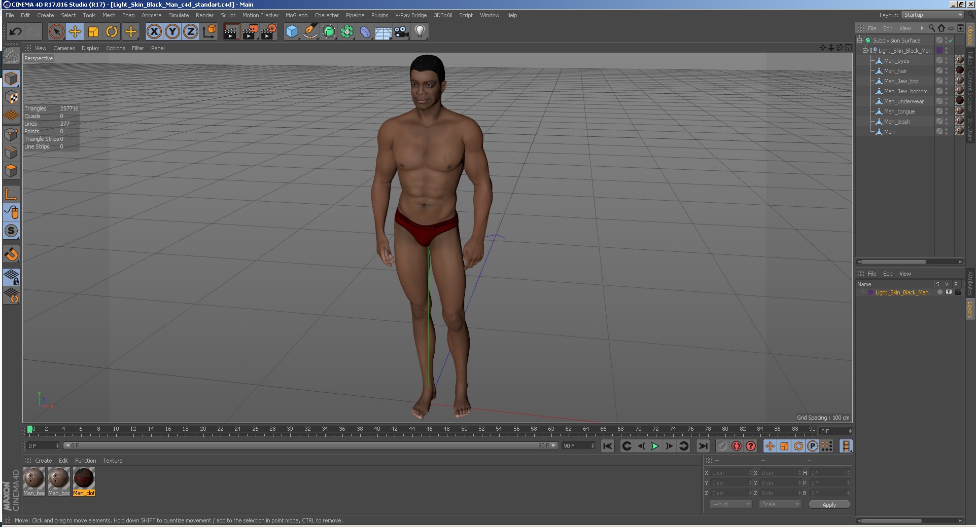 3D model Light Skin Black Man