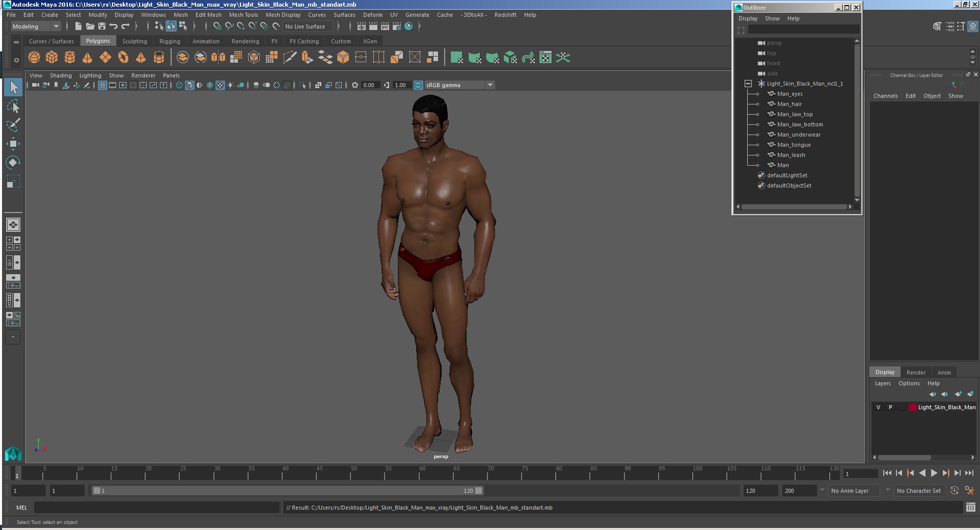 3D model Light Skin Black Man
