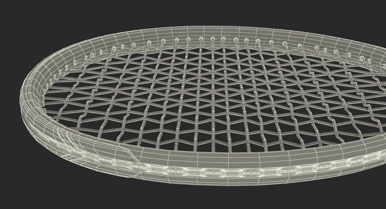 3D Tennis Racquet BABOLAT Pure Drive model