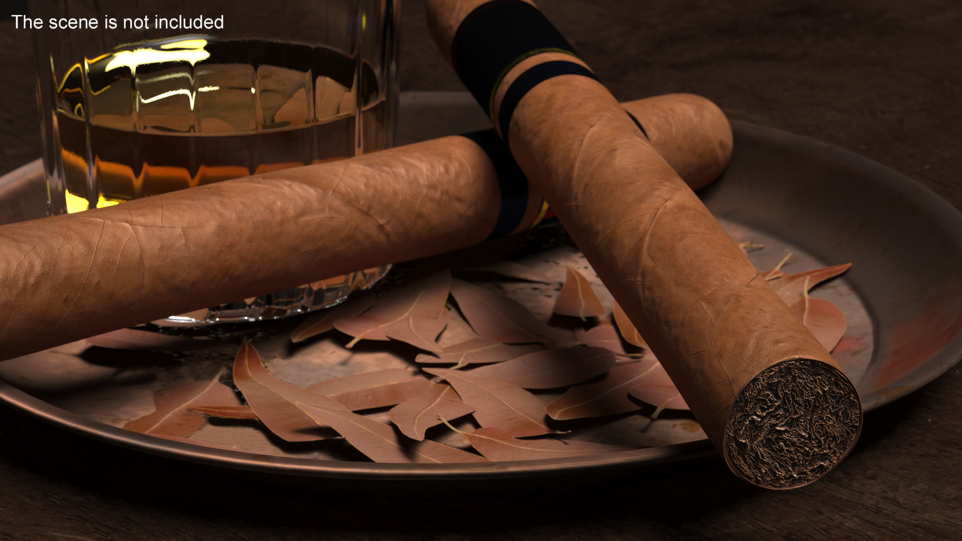 Toro Grande Cigar 3D