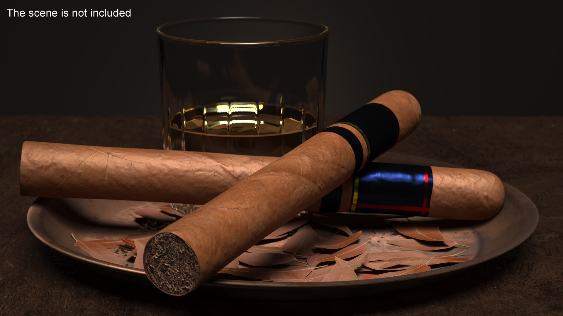 Toro Grande Cigar 3D