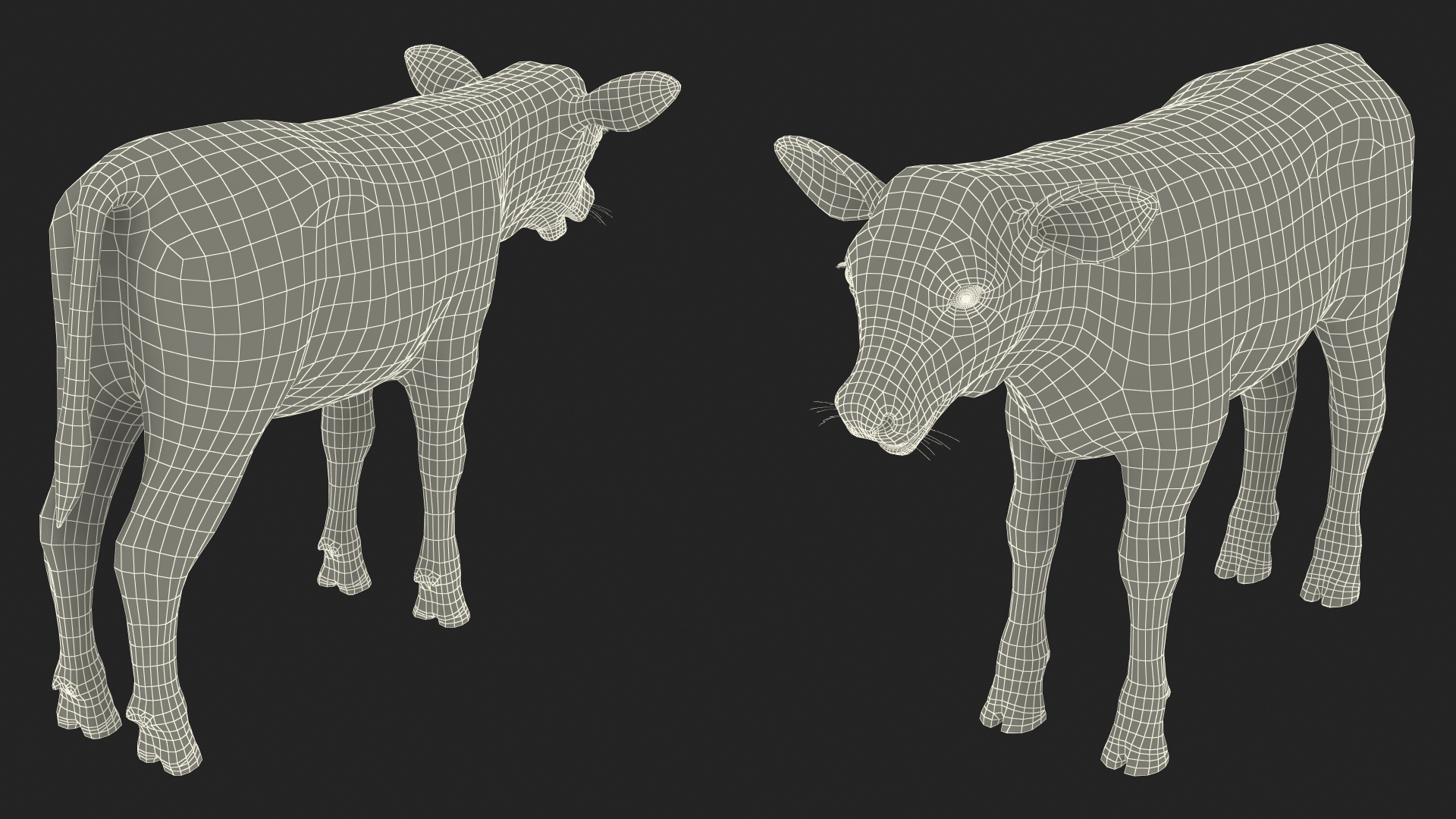 3D model Cow Calf Rigged