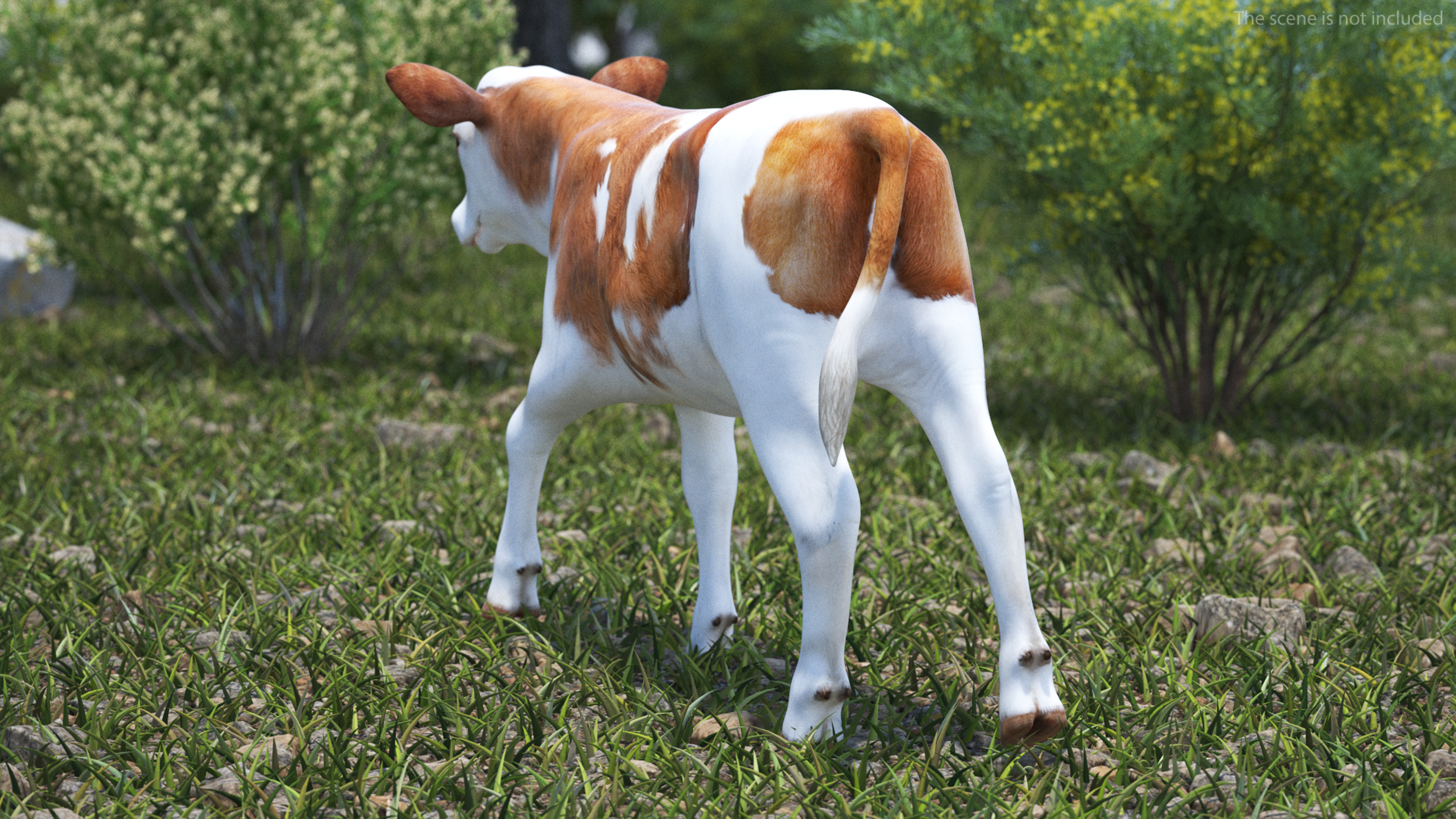 3D model Cow Calf Rigged