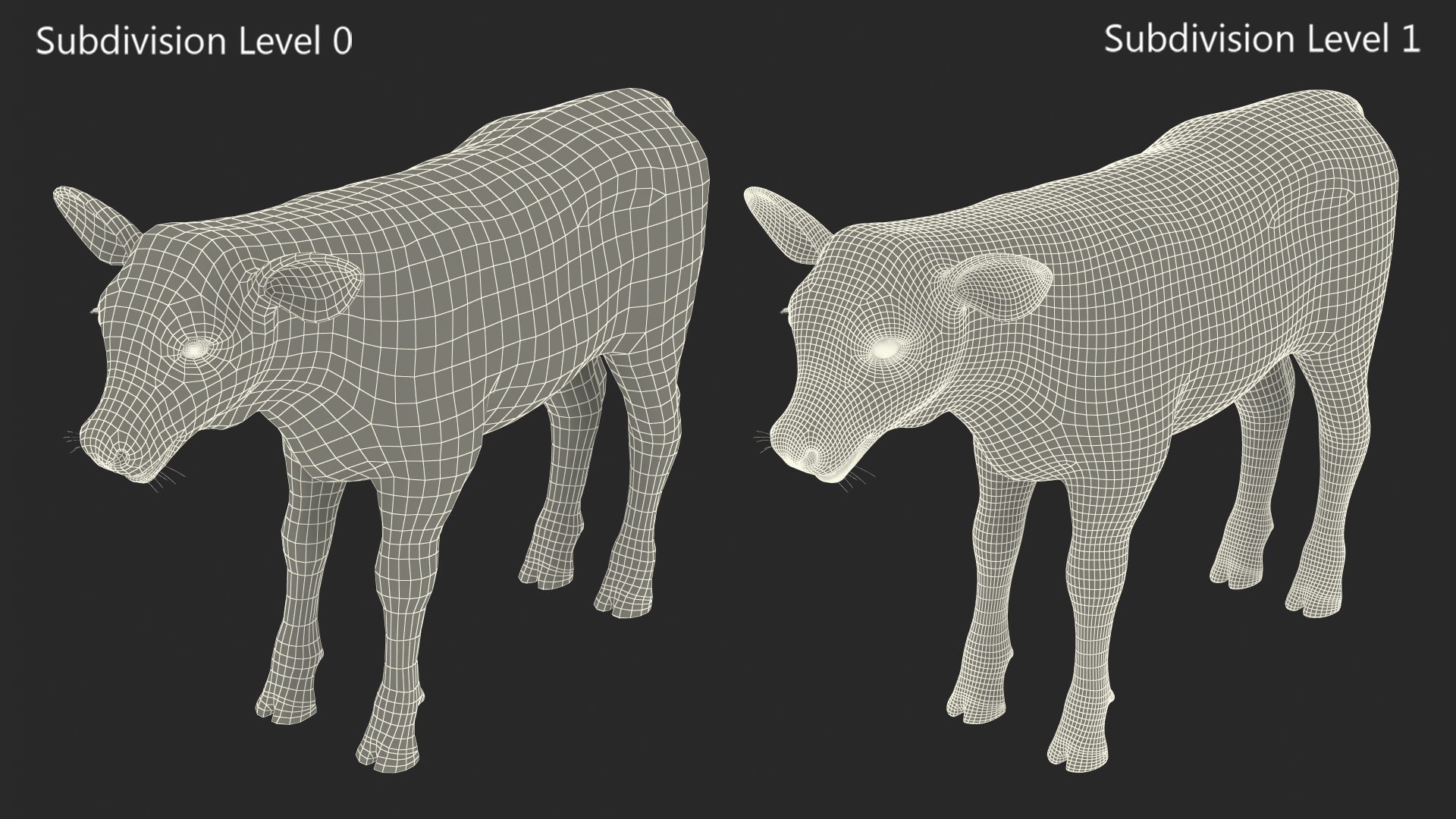 3D model Cow Calf Rigged