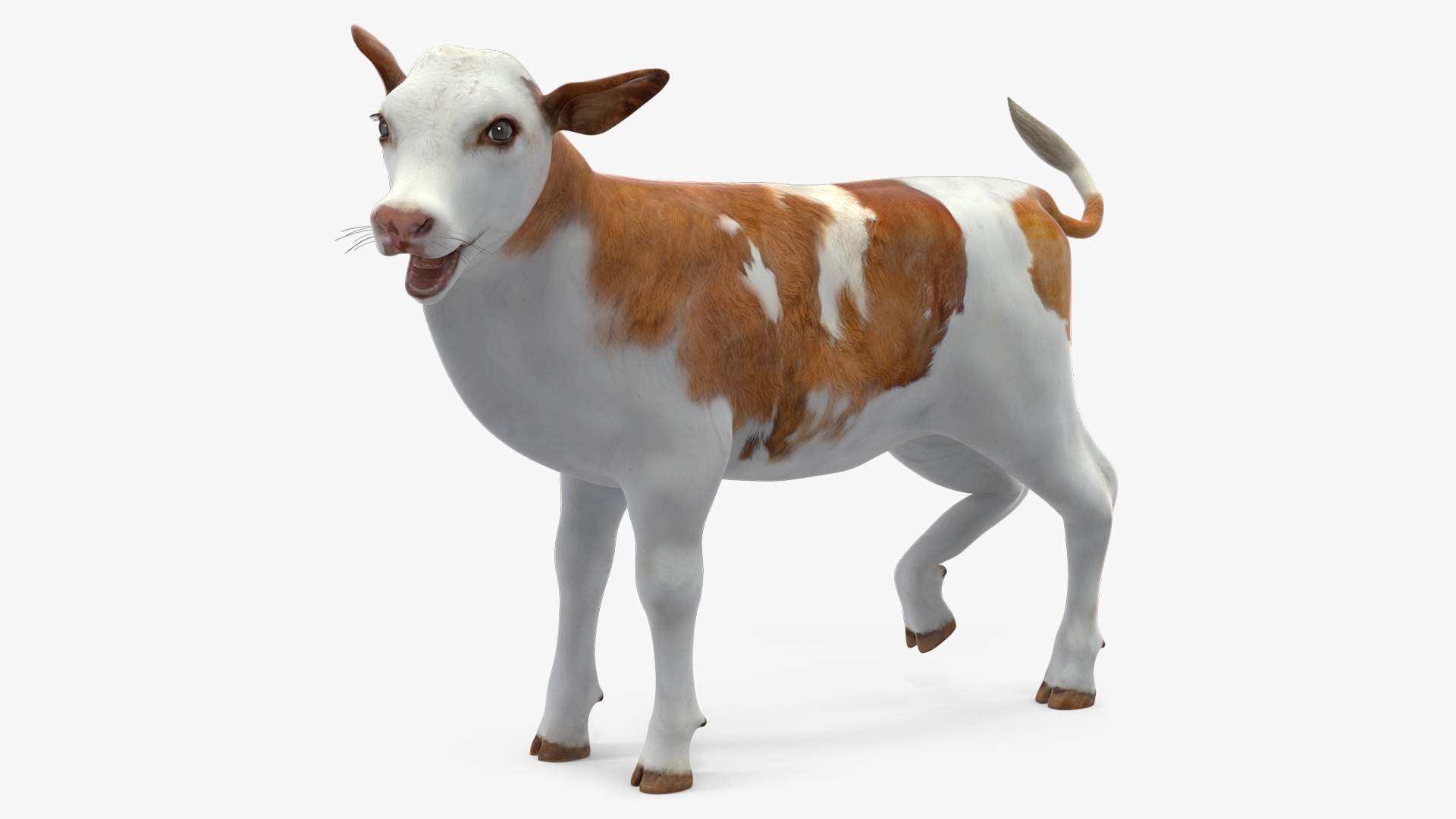 3D model Cow Calf Rigged