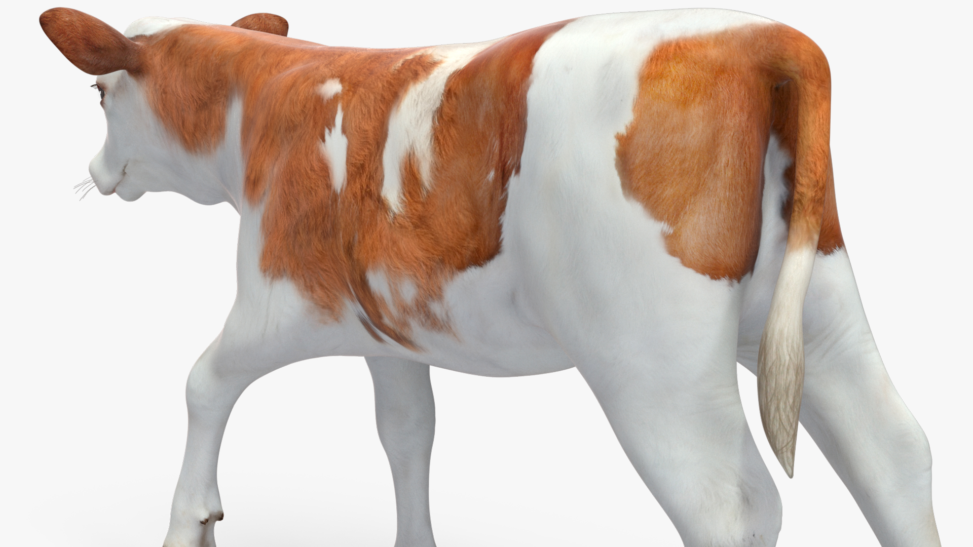 3D model Cow Calf Rigged