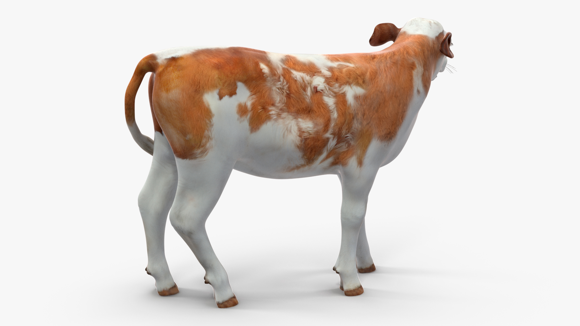 3D model Cow Calf Rigged
