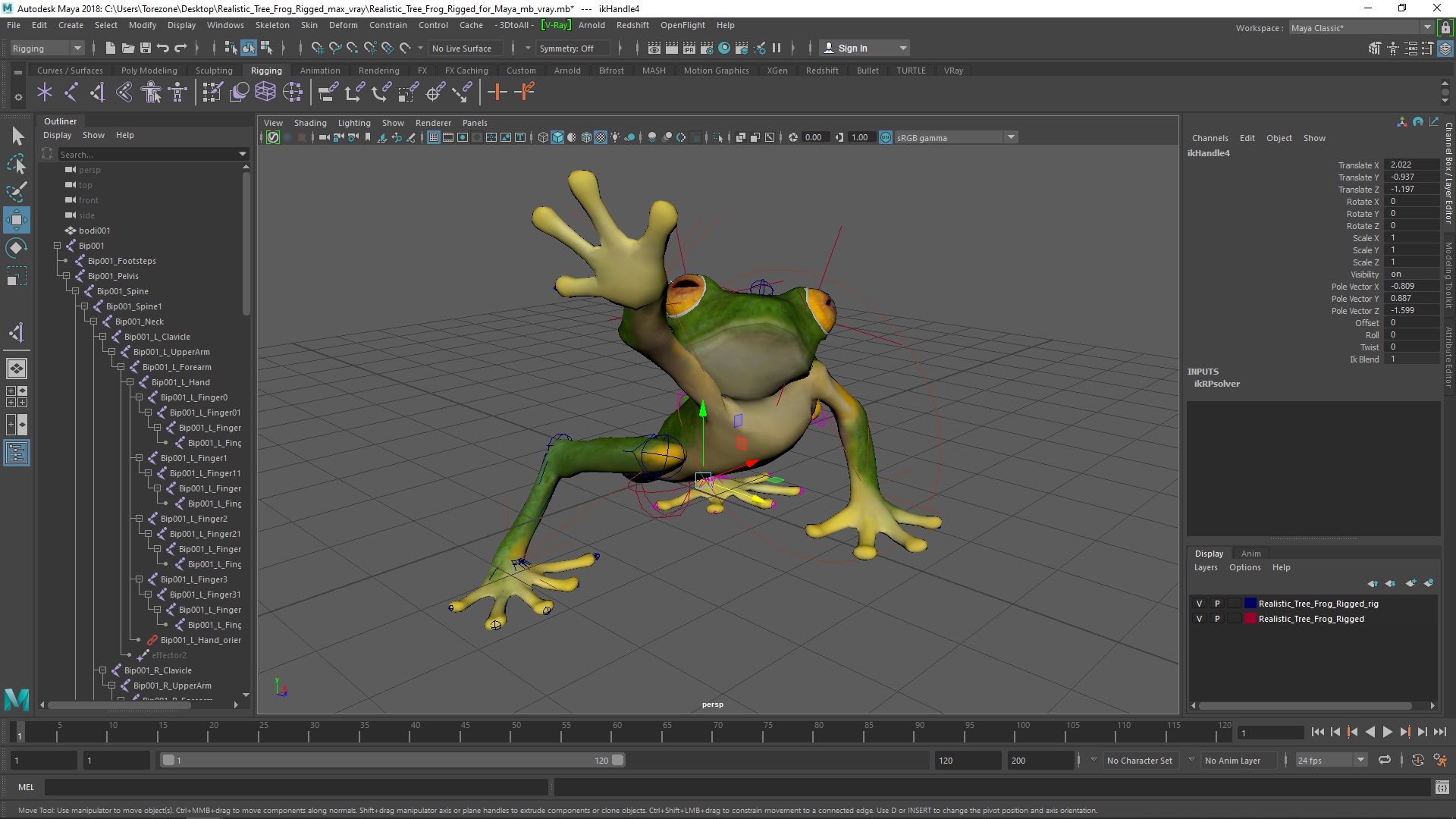 3D model Realistic Tree Frog Rigged for Maya