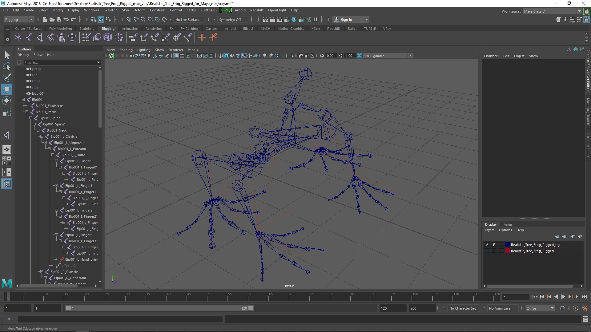 3D model Realistic Tree Frog Rigged for Maya