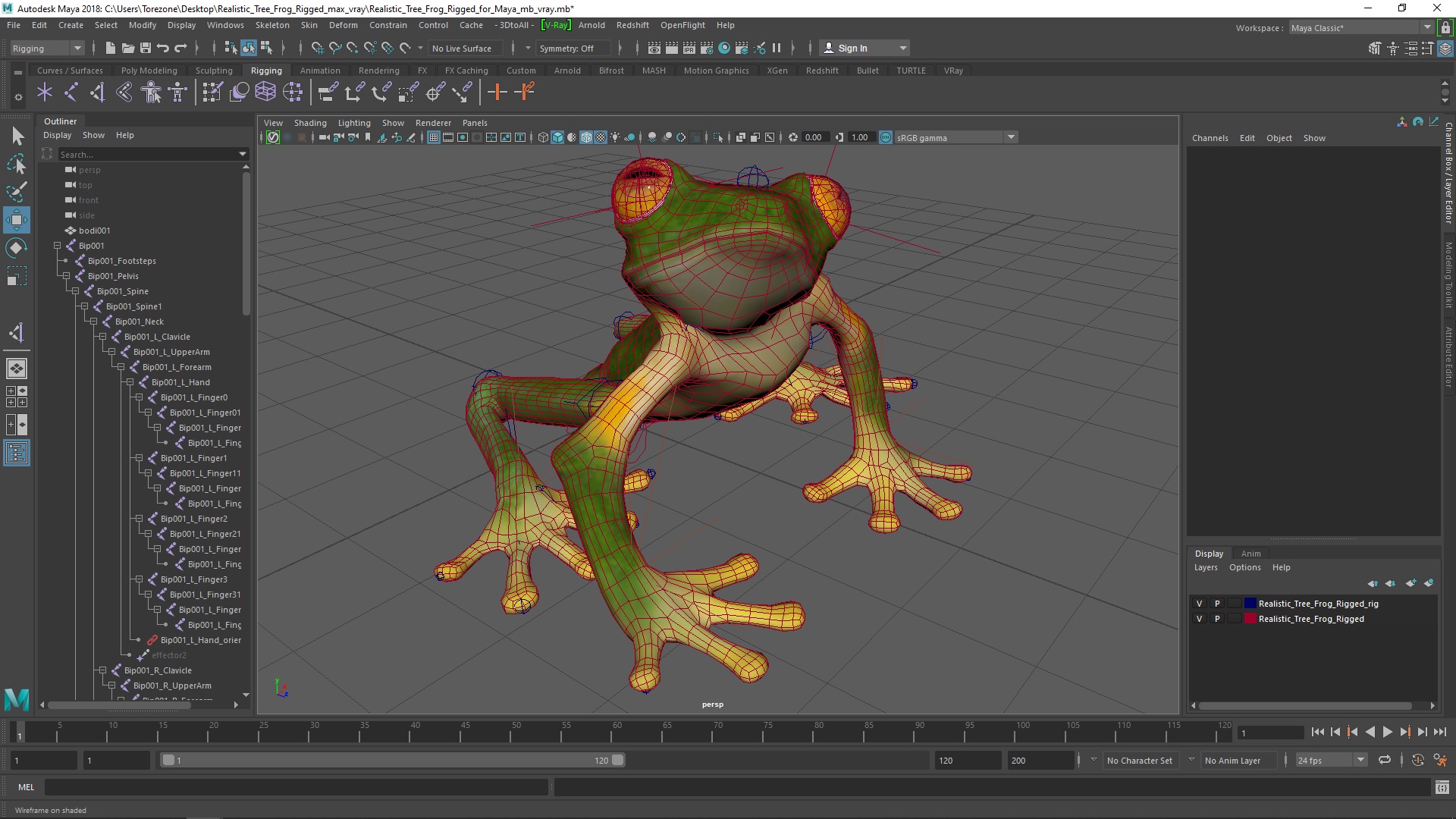3D model Realistic Tree Frog Rigged for Maya
