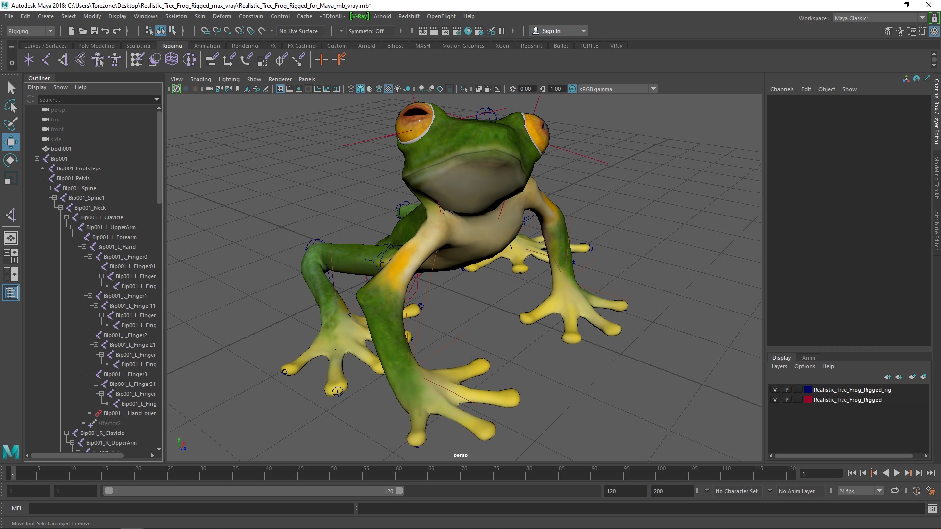 3D model Realistic Tree Frog Rigged for Maya
