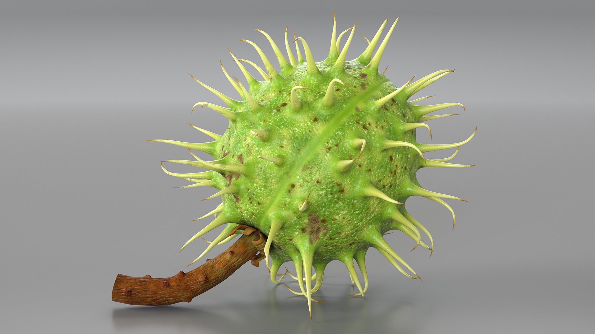 3D Horse Chestnut Set model