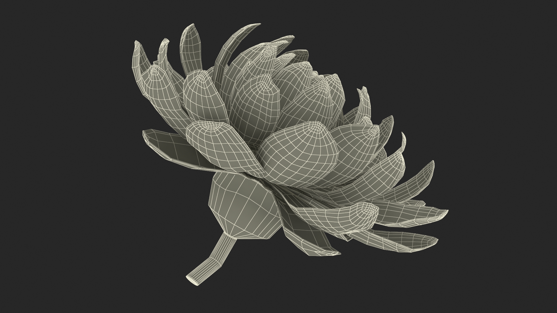 3D model Flower Victoria Amazonica