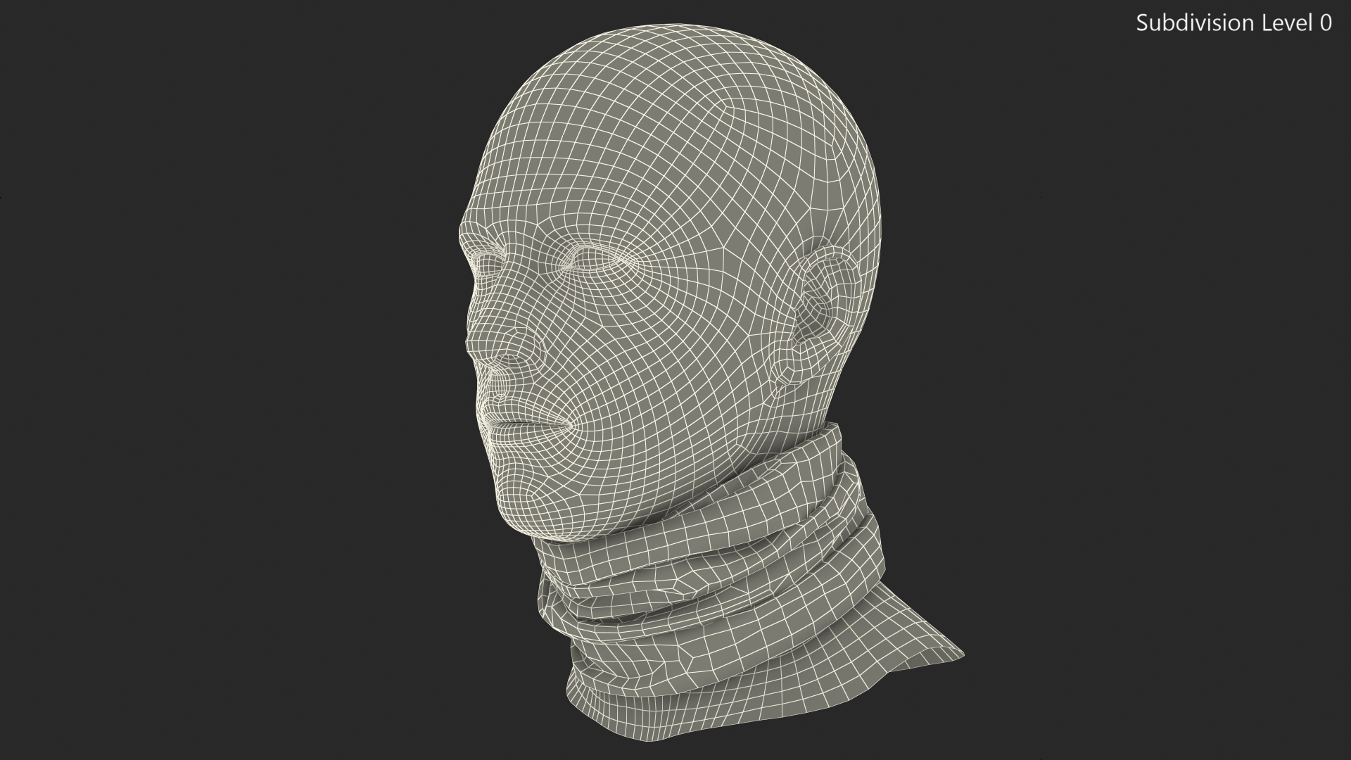 3D Summer Neck Gaiter model