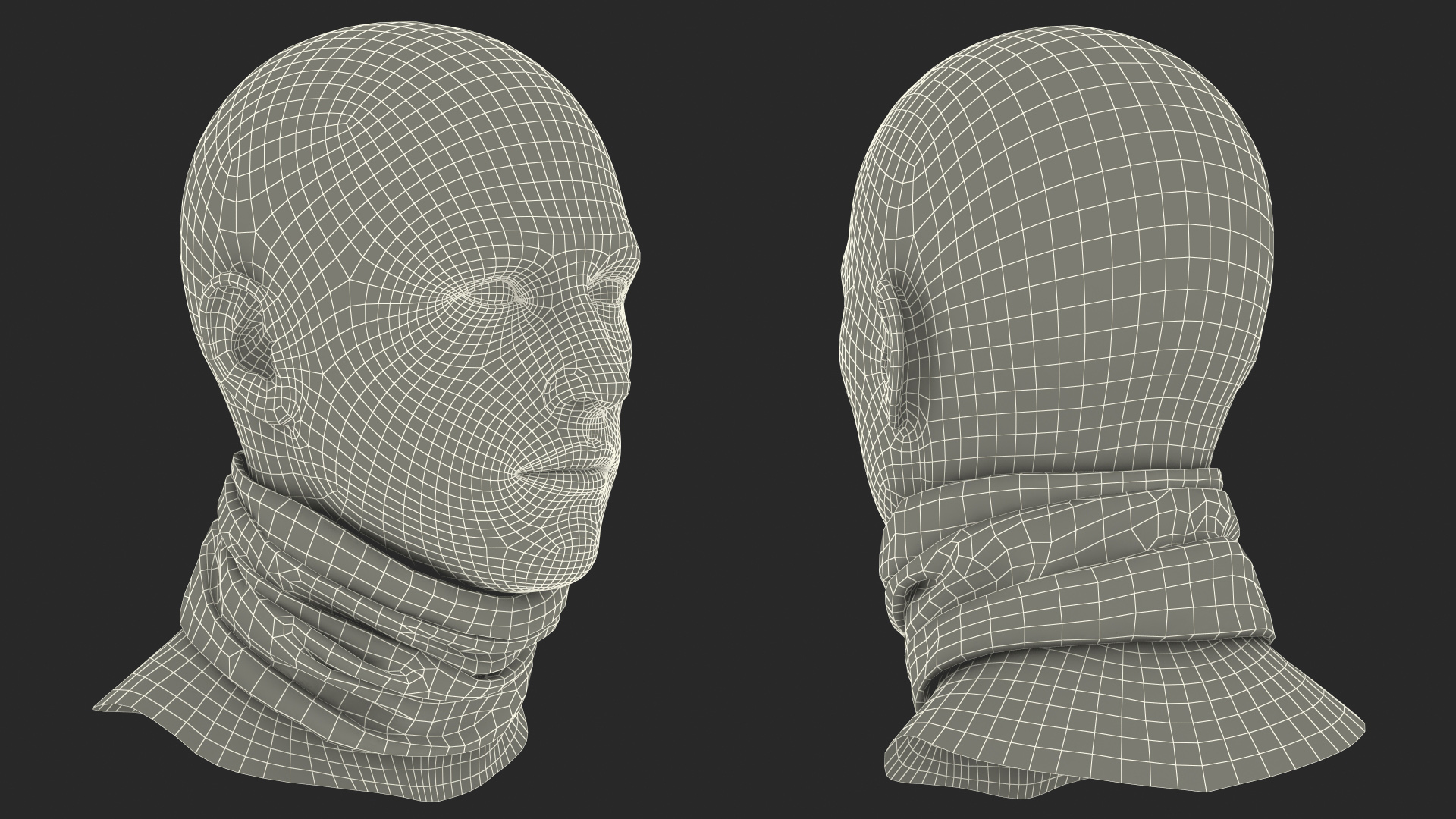 3D Summer Neck Gaiter model