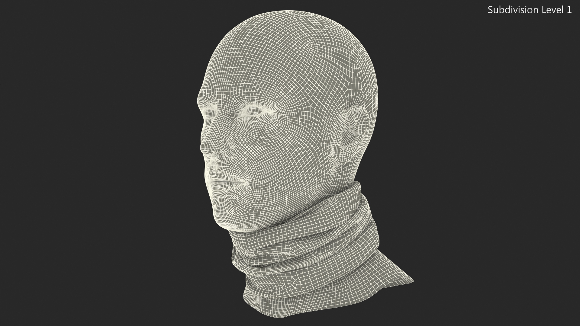 3D Summer Neck Gaiter model