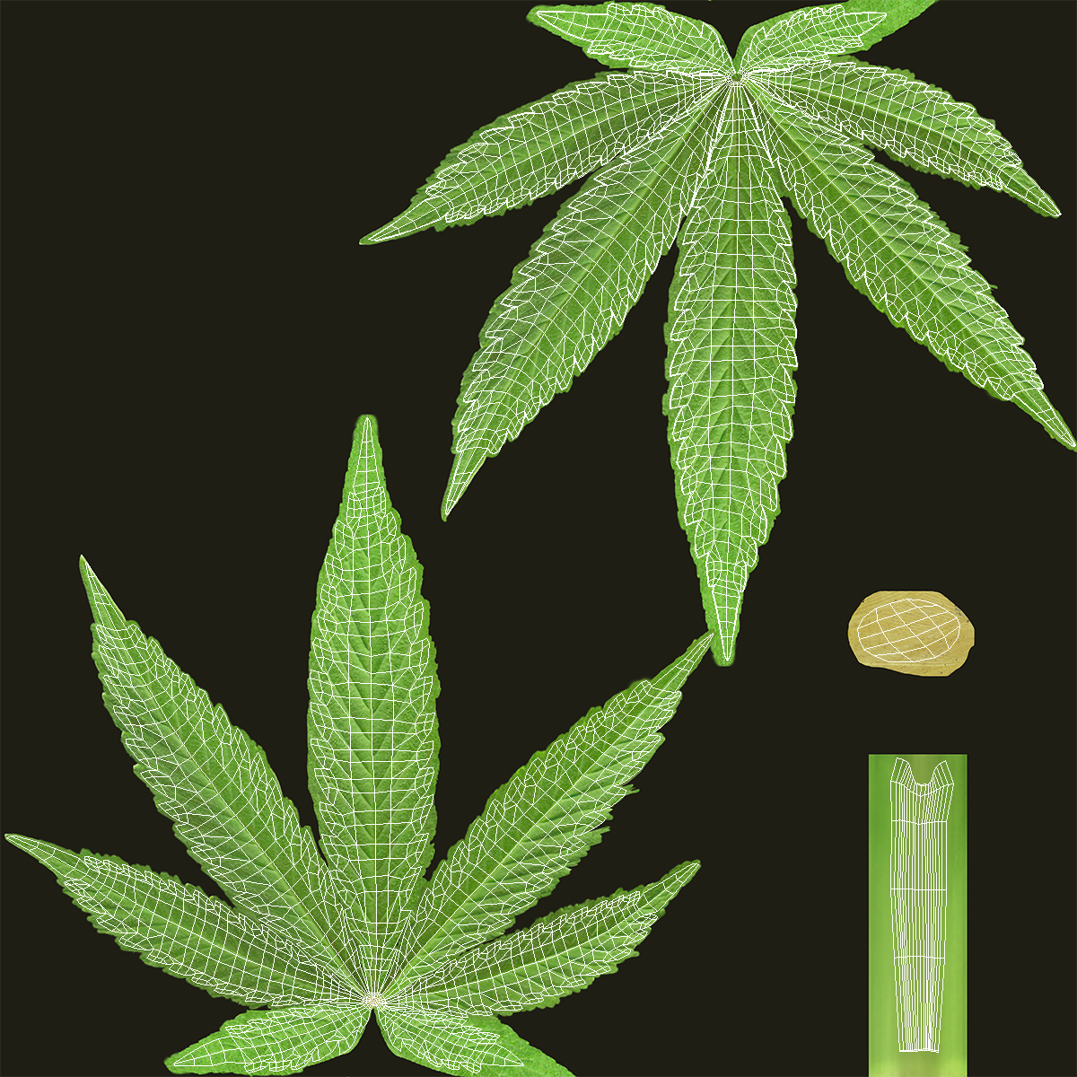 3D Cannabis Leaf model
