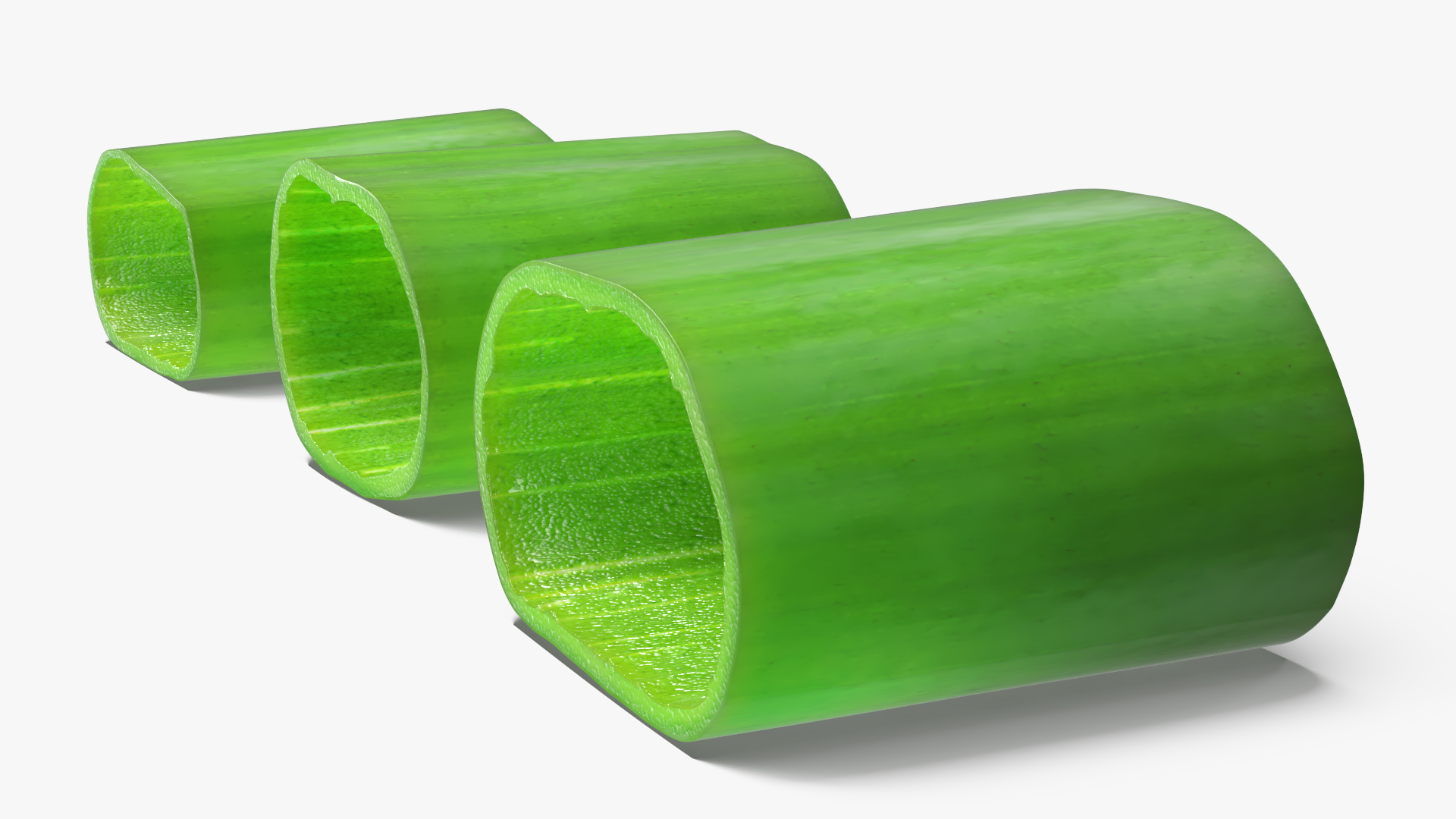 Chopped Green Onion Pieces Set