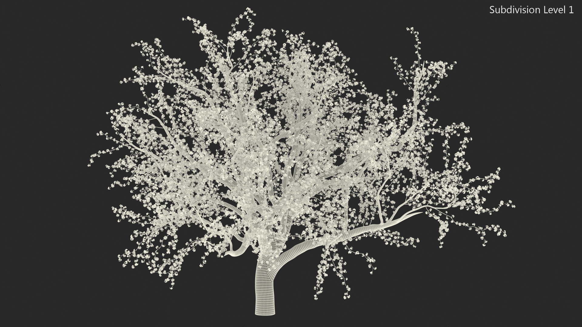 Blooming Peach Tree 3D model