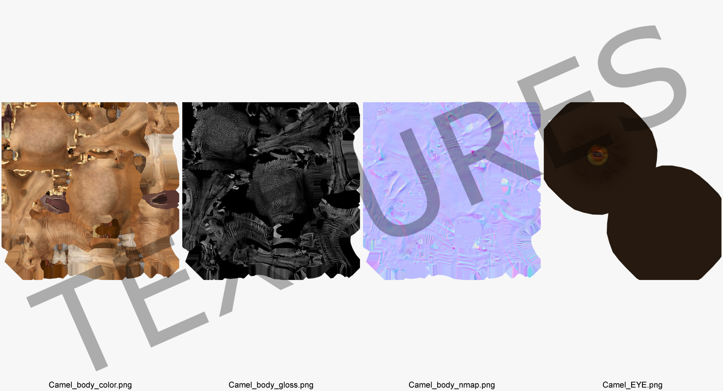 Camel Rigged 3D