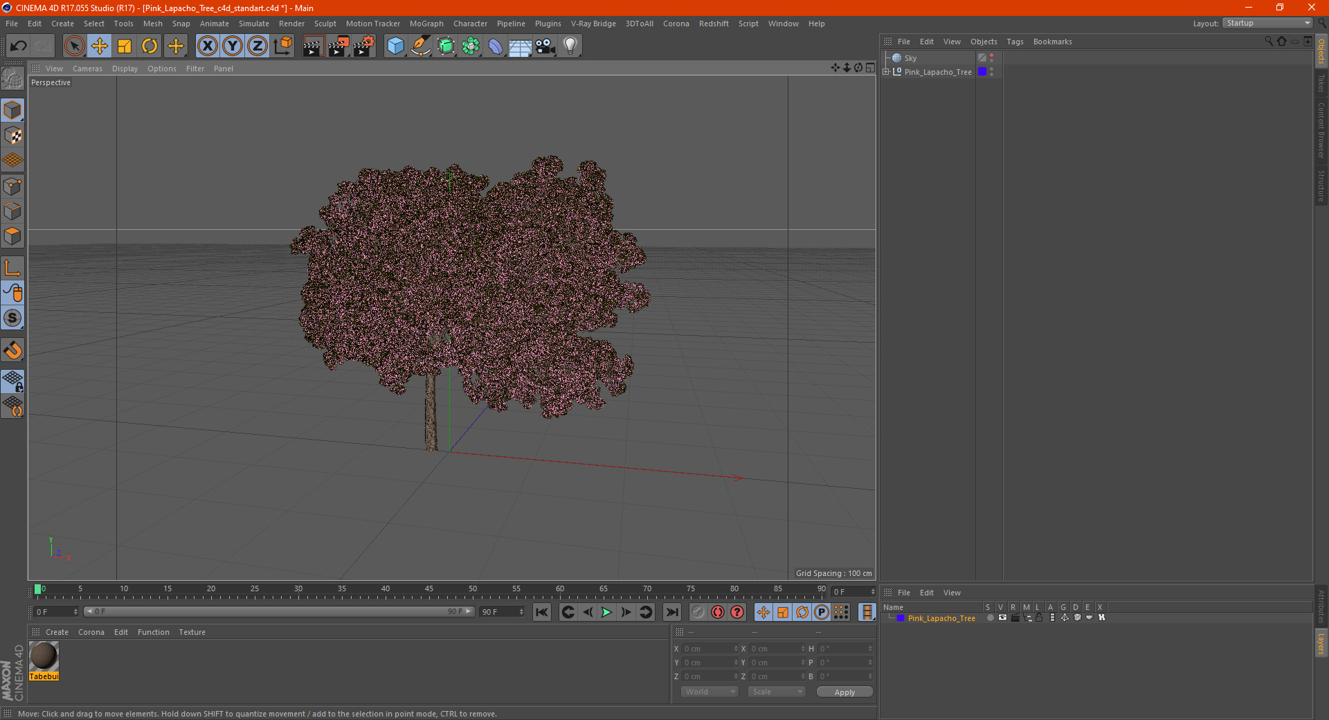 Pink Lapacho Tree 3D