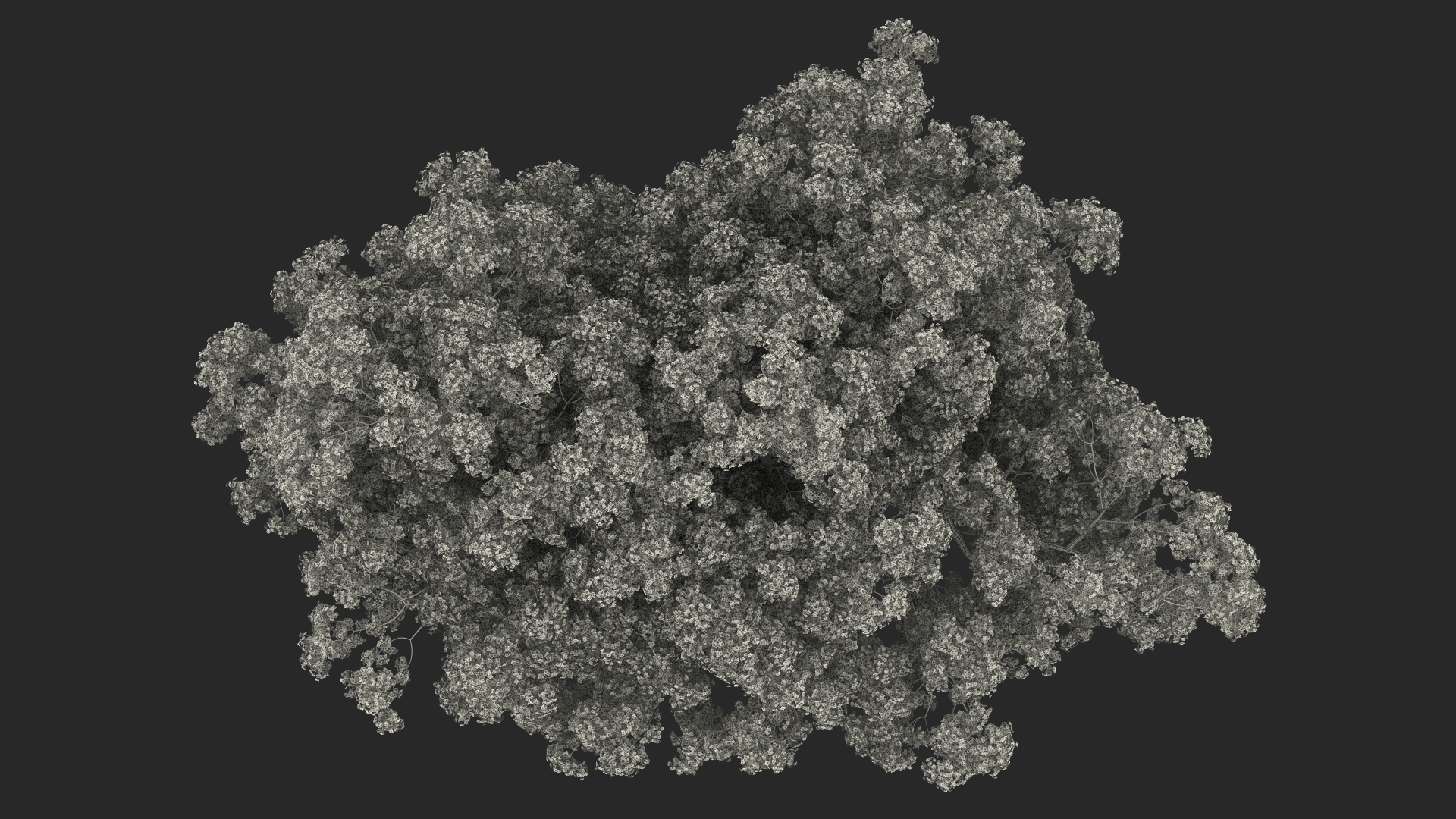 Pink Lapacho Tree 3D