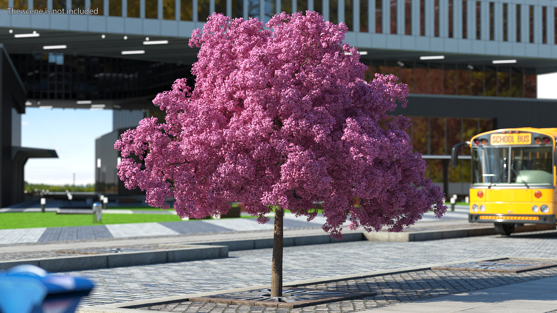 Pink Lapacho Tree 3D