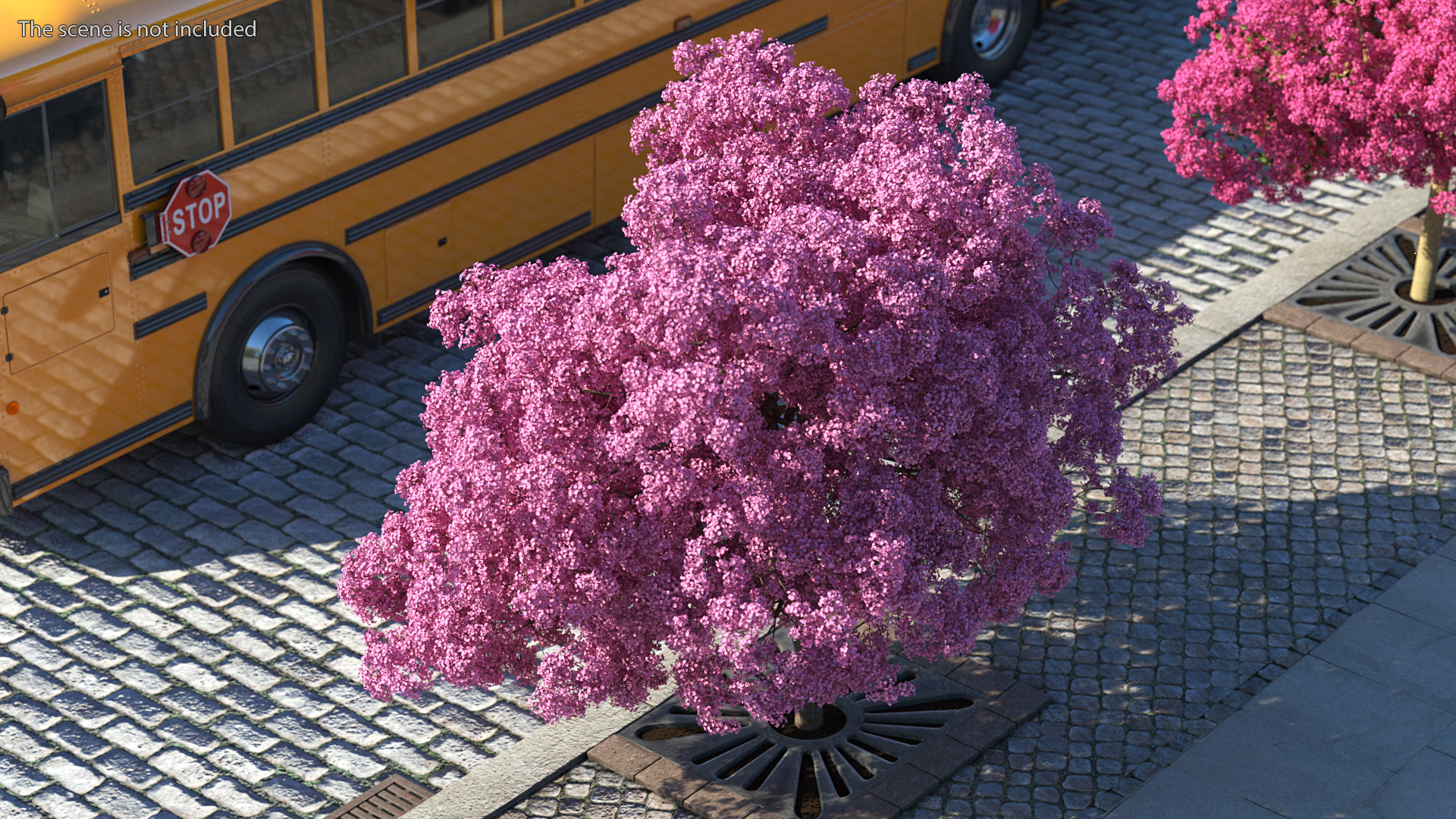 Pink Lapacho Tree 3D