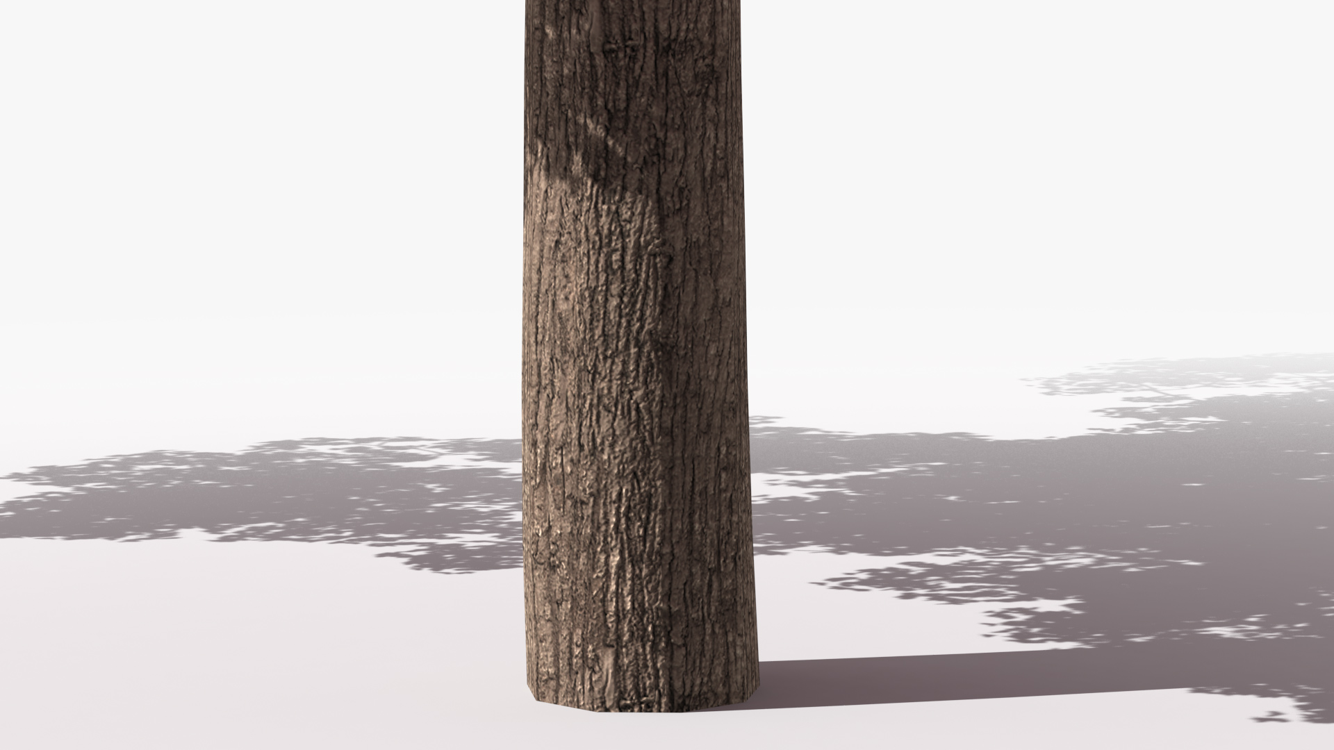 Pink Lapacho Tree 3D