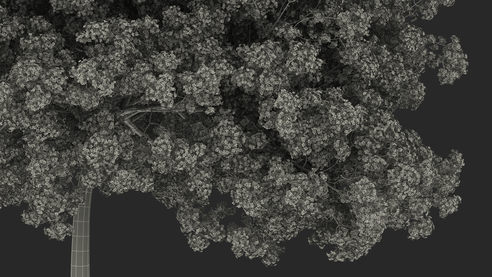 Pink Lapacho Tree 3D