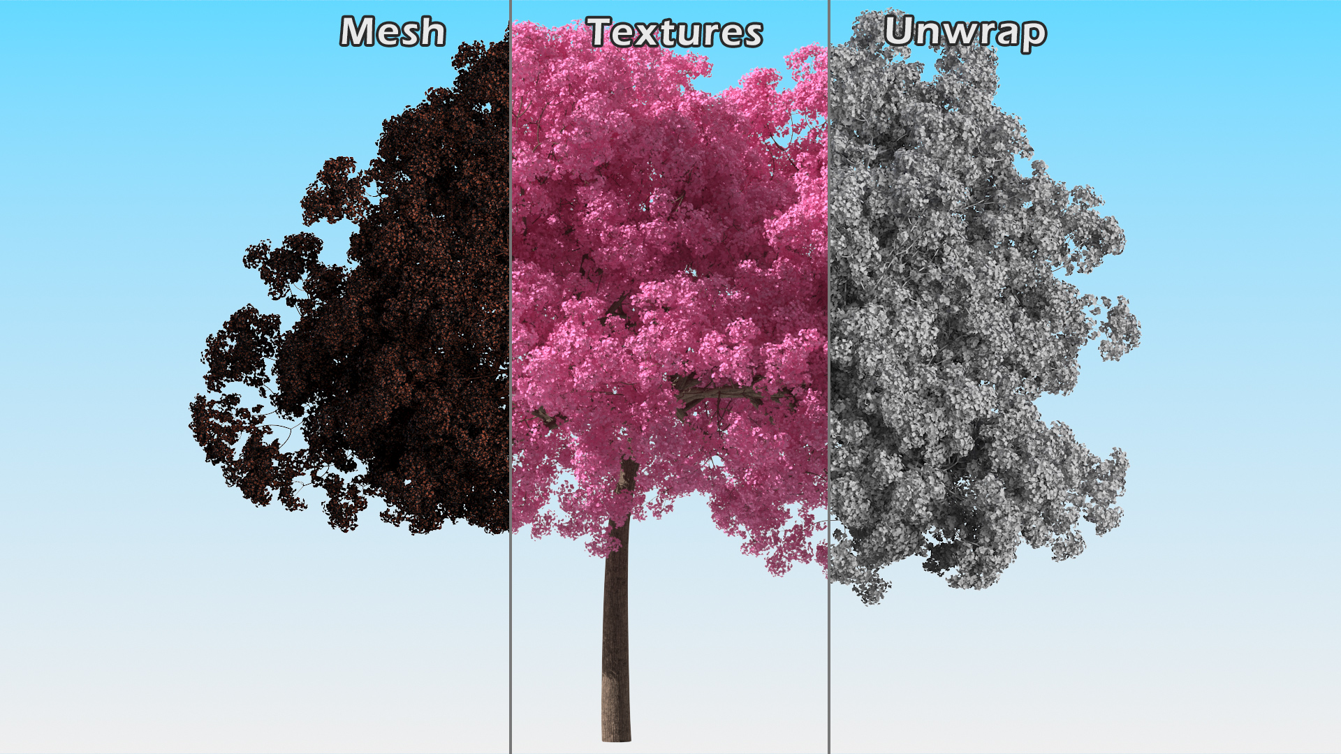 Pink Lapacho Tree 3D