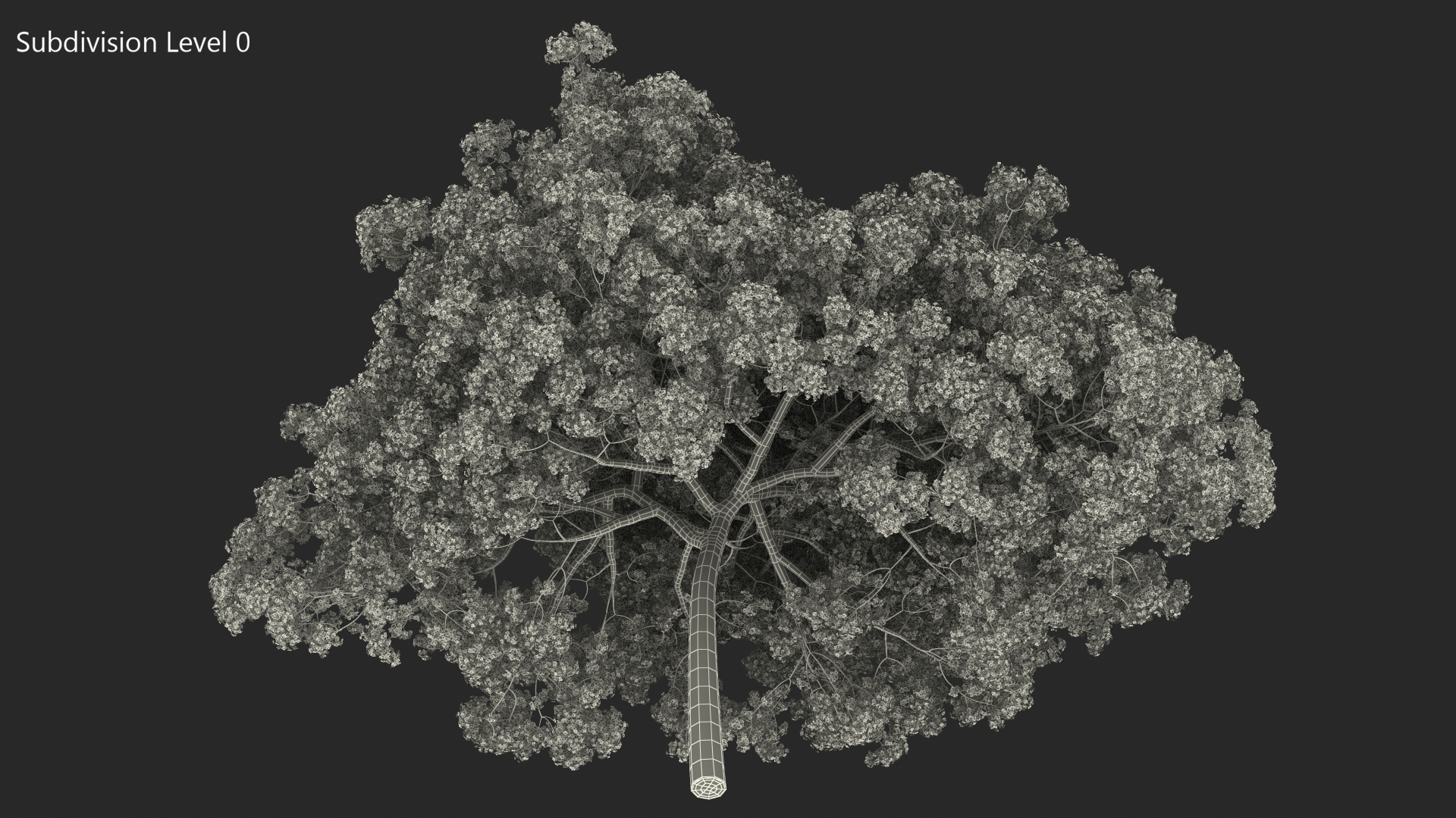Pink Lapacho Tree 3D