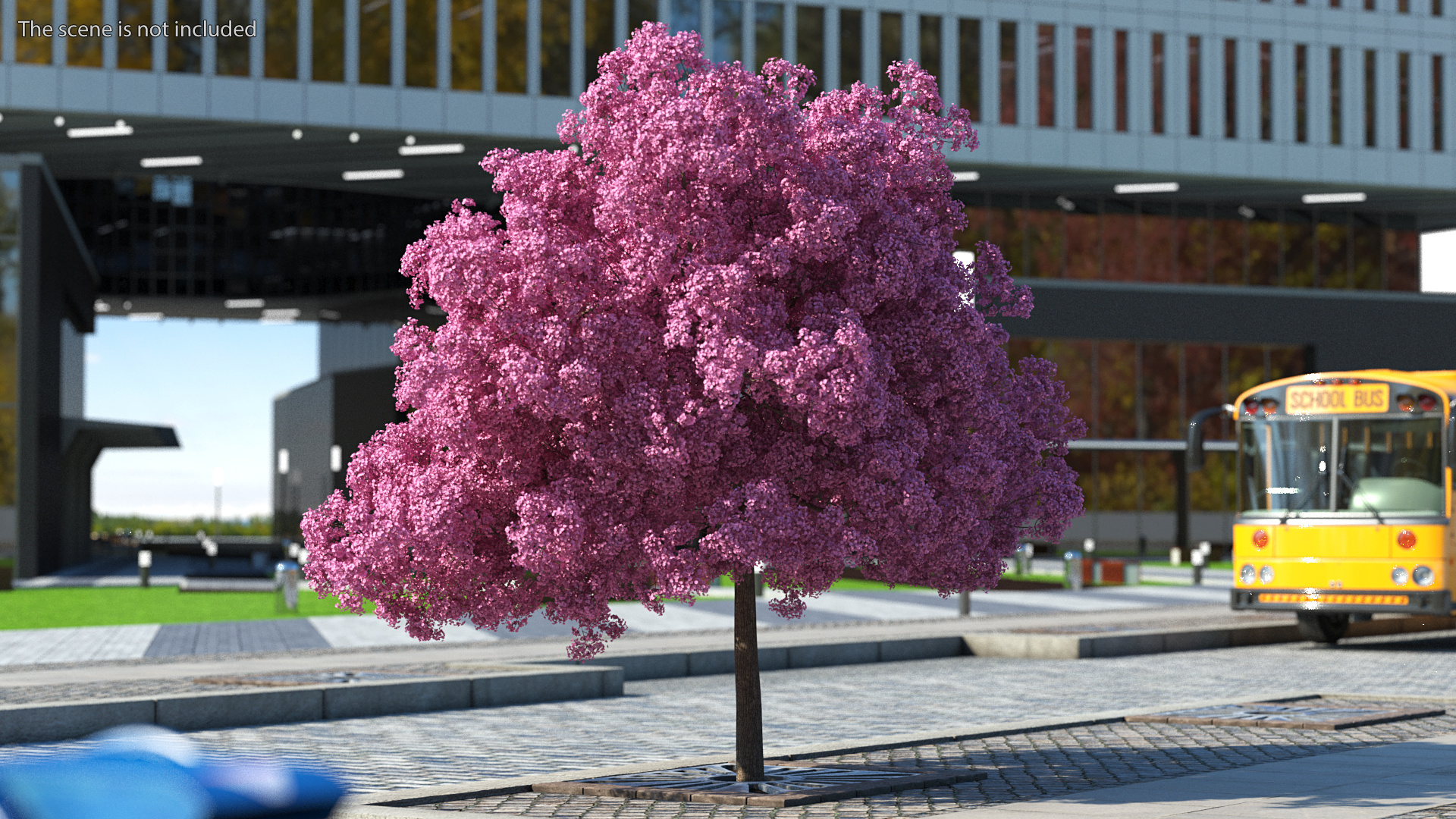 Pink Lapacho Tree 3D