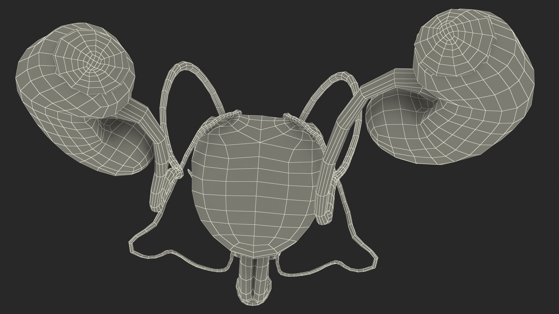 Male Reproductive System 3D model