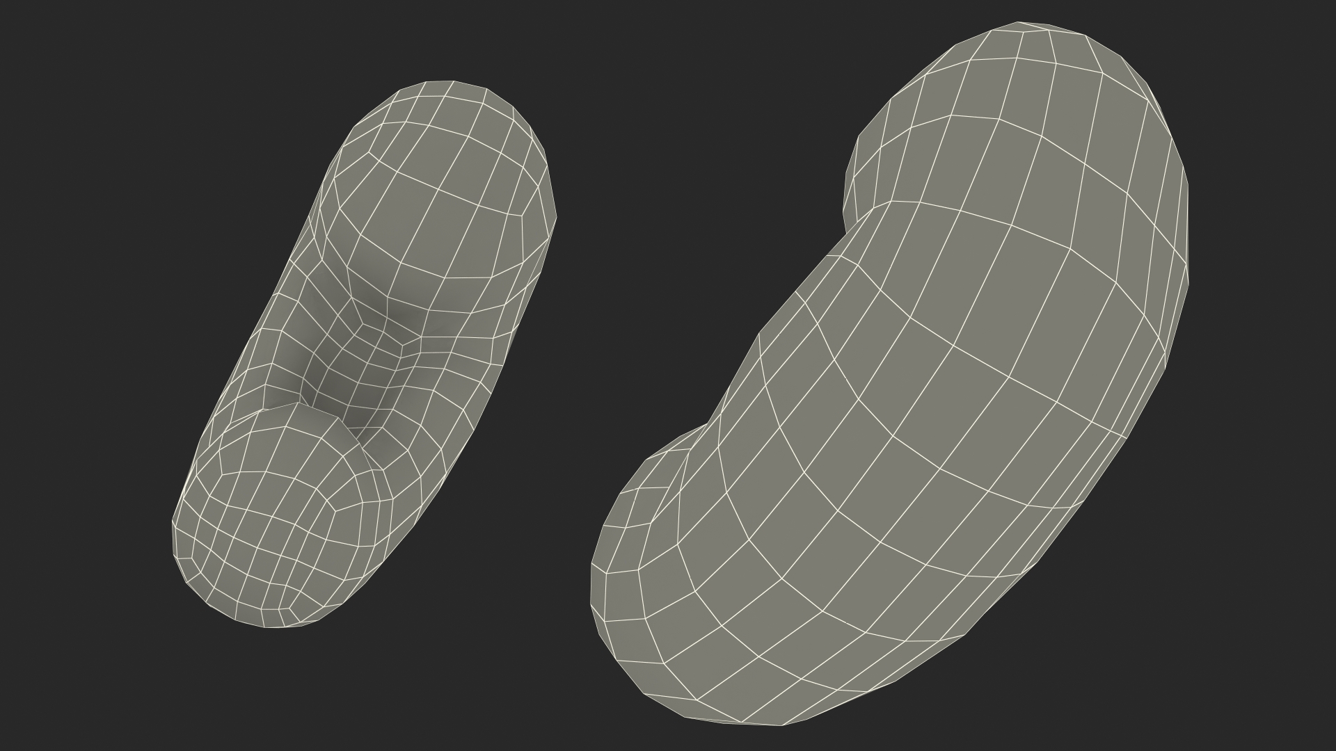 Male Reproductive System 3D model