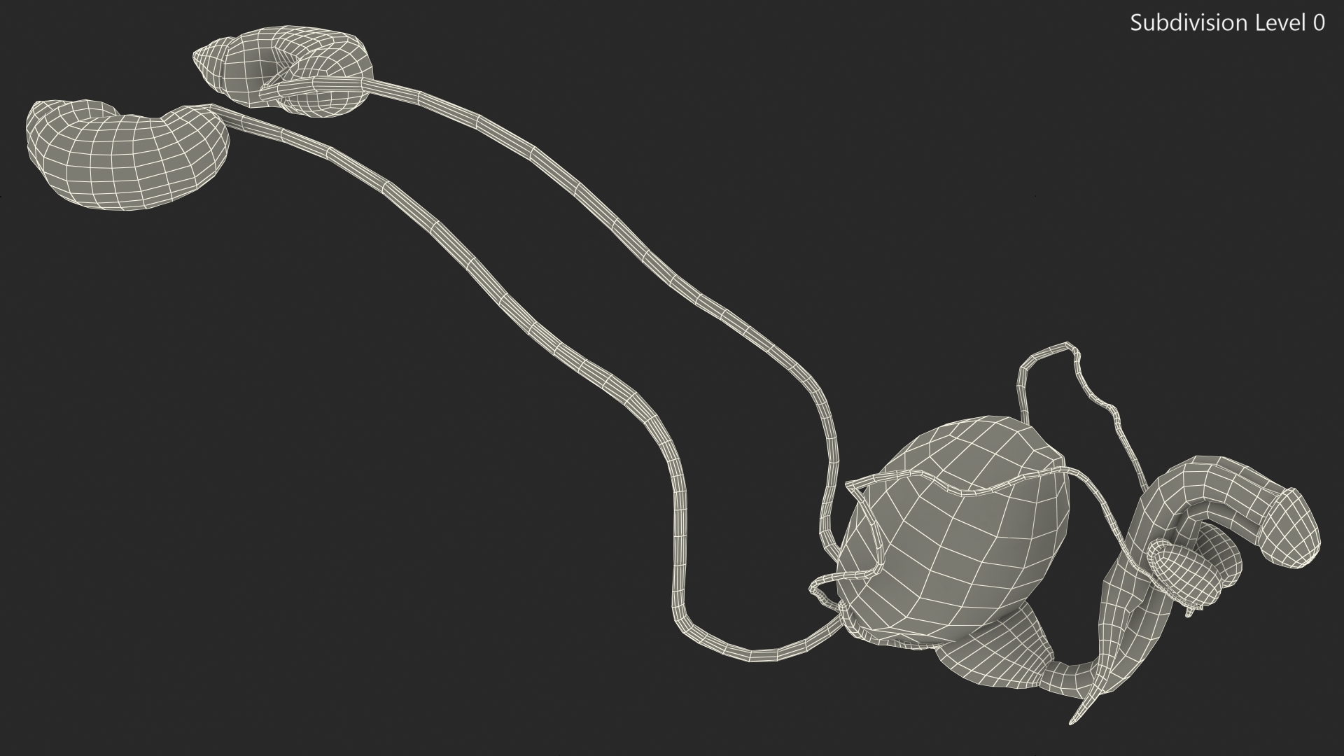 Male Reproductive System 3D model