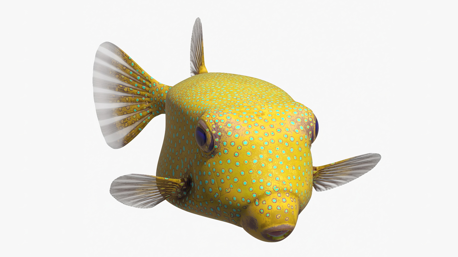 Yellow Spotted Boxfish Rigged 3D model
