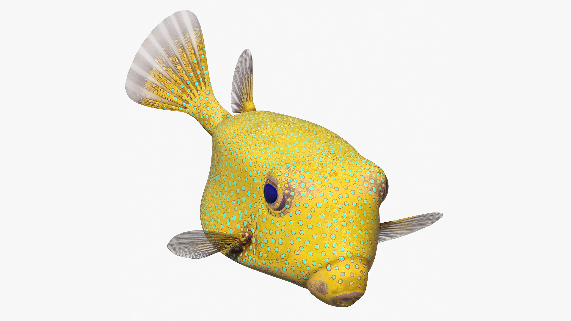 Yellow Spotted Boxfish Rigged 3D model