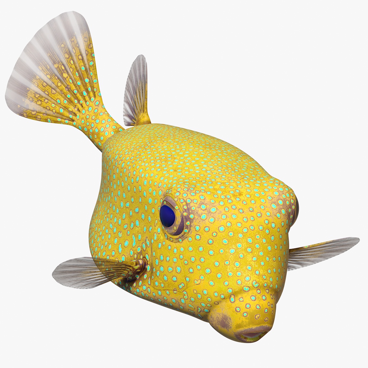 Yellow Spotted Boxfish Rigged 3D model
