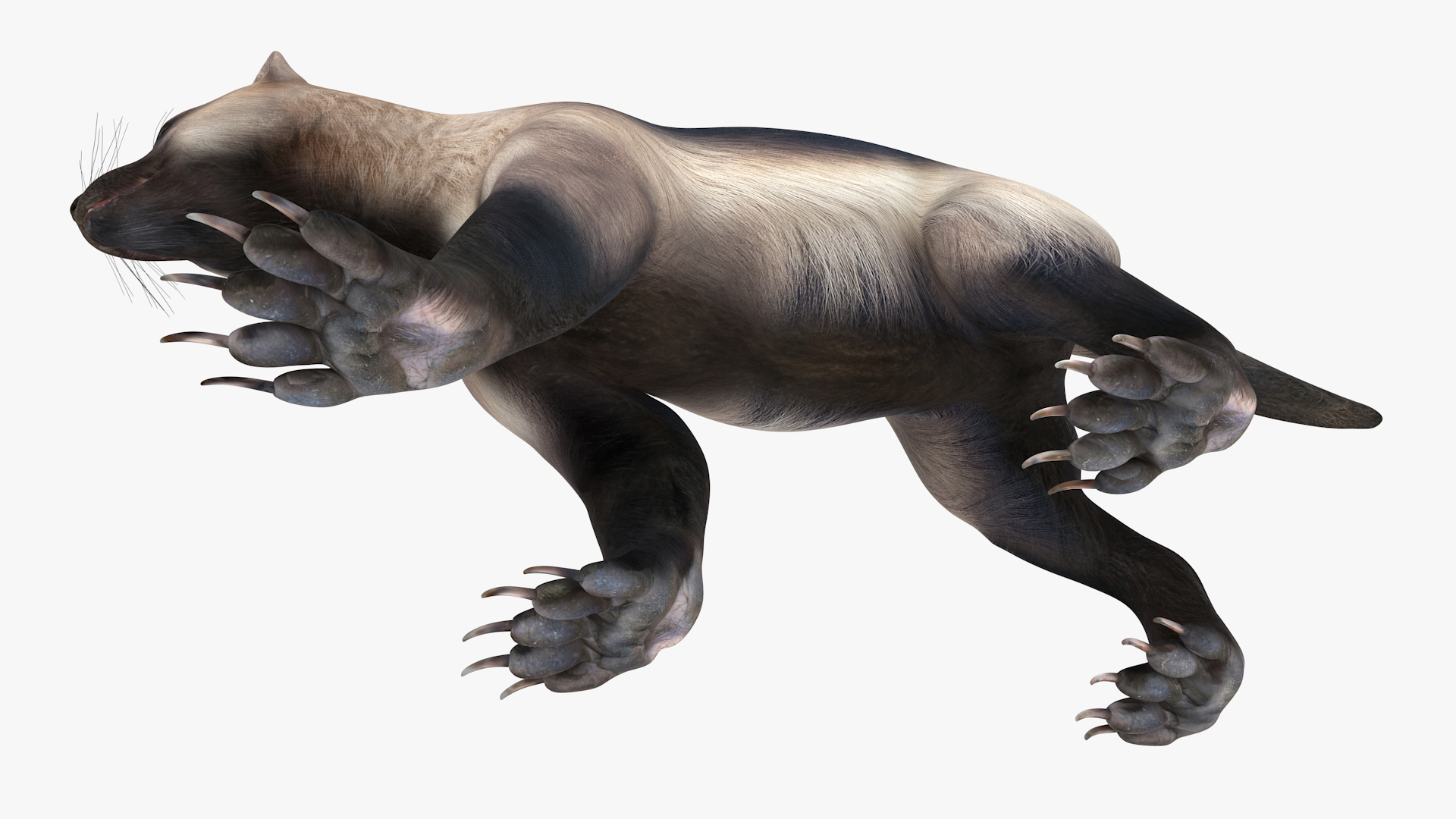 Wolverine Light Color Walking Pose 3D model