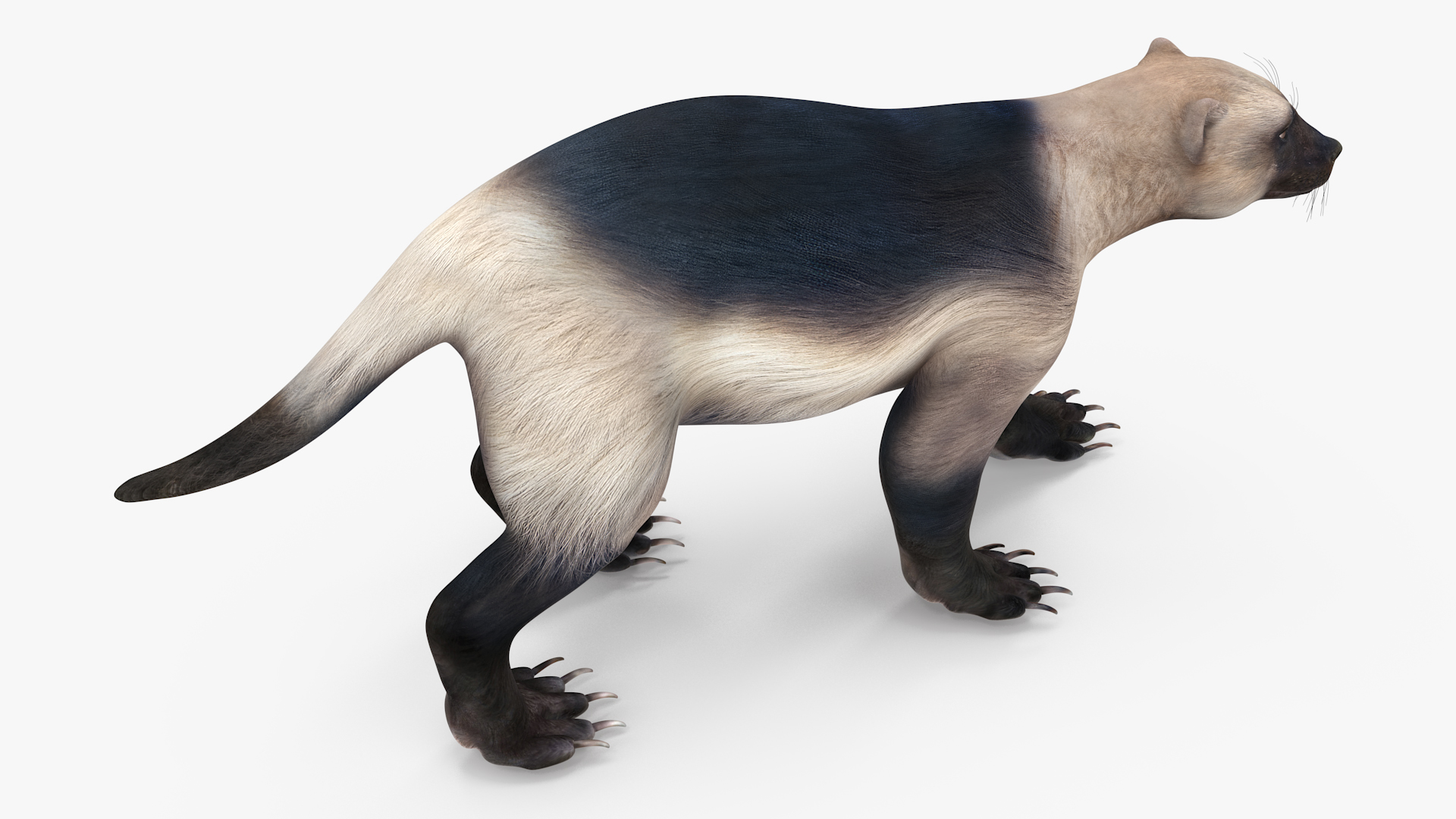 Wolverine Light Color Walking Pose 3D model