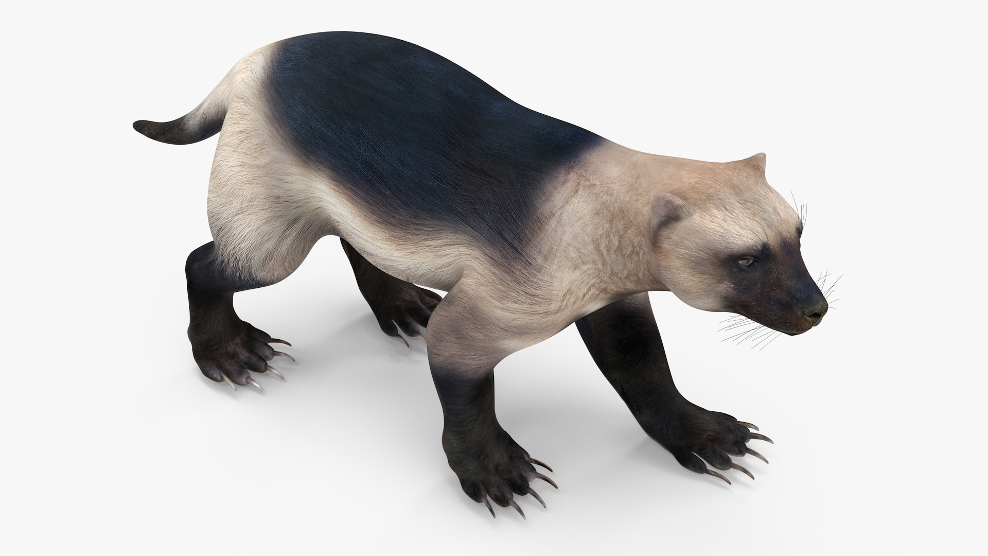 Wolverine Light Color Walking Pose 3D model