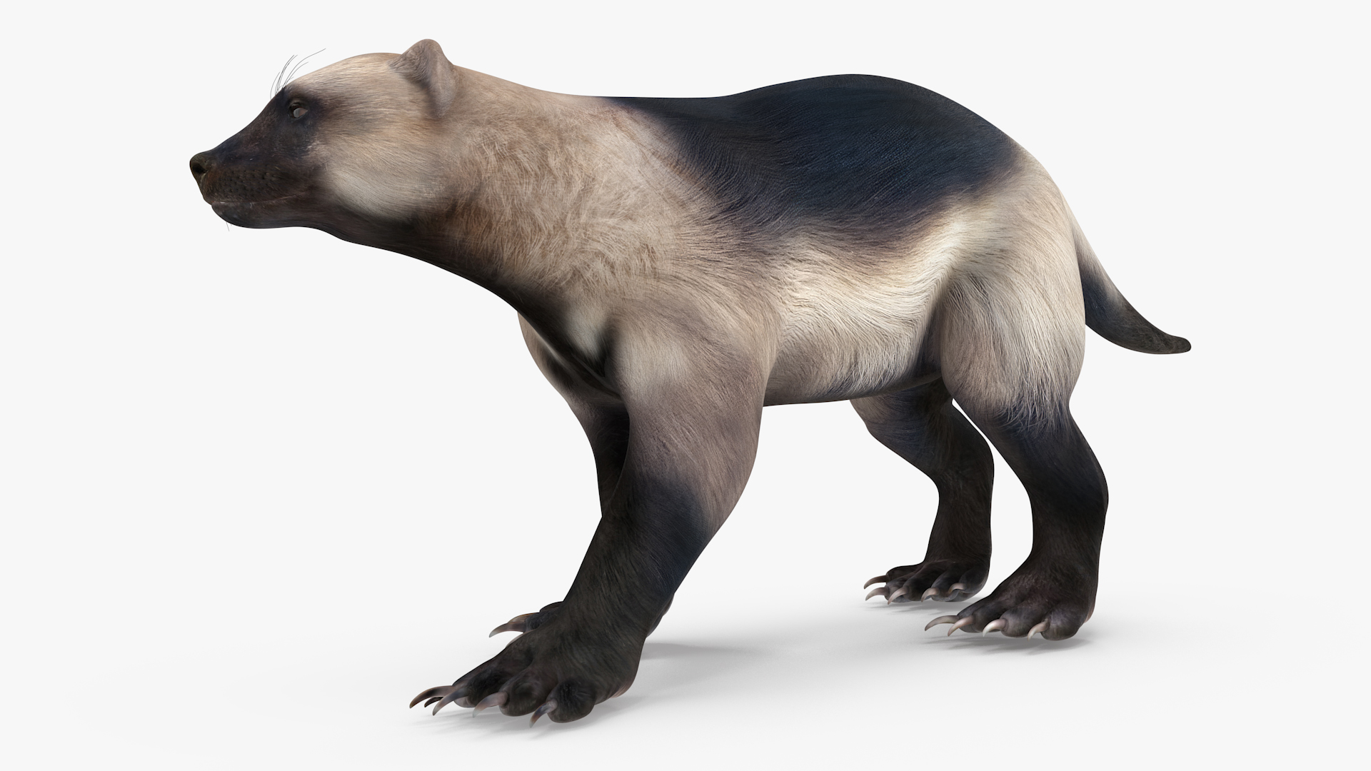 Wolverine Light Color Walking Pose 3D model