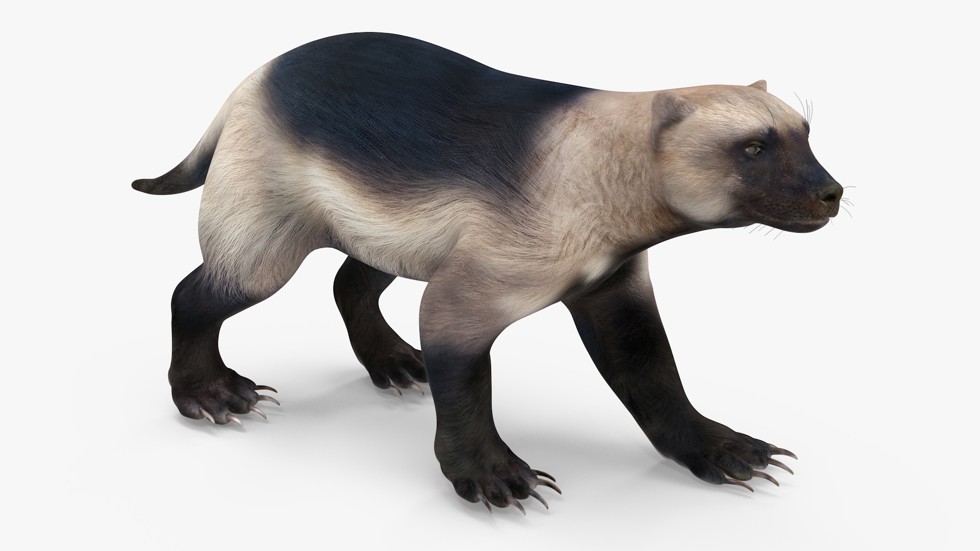 Wolverine Light Color Walking Pose 3D model