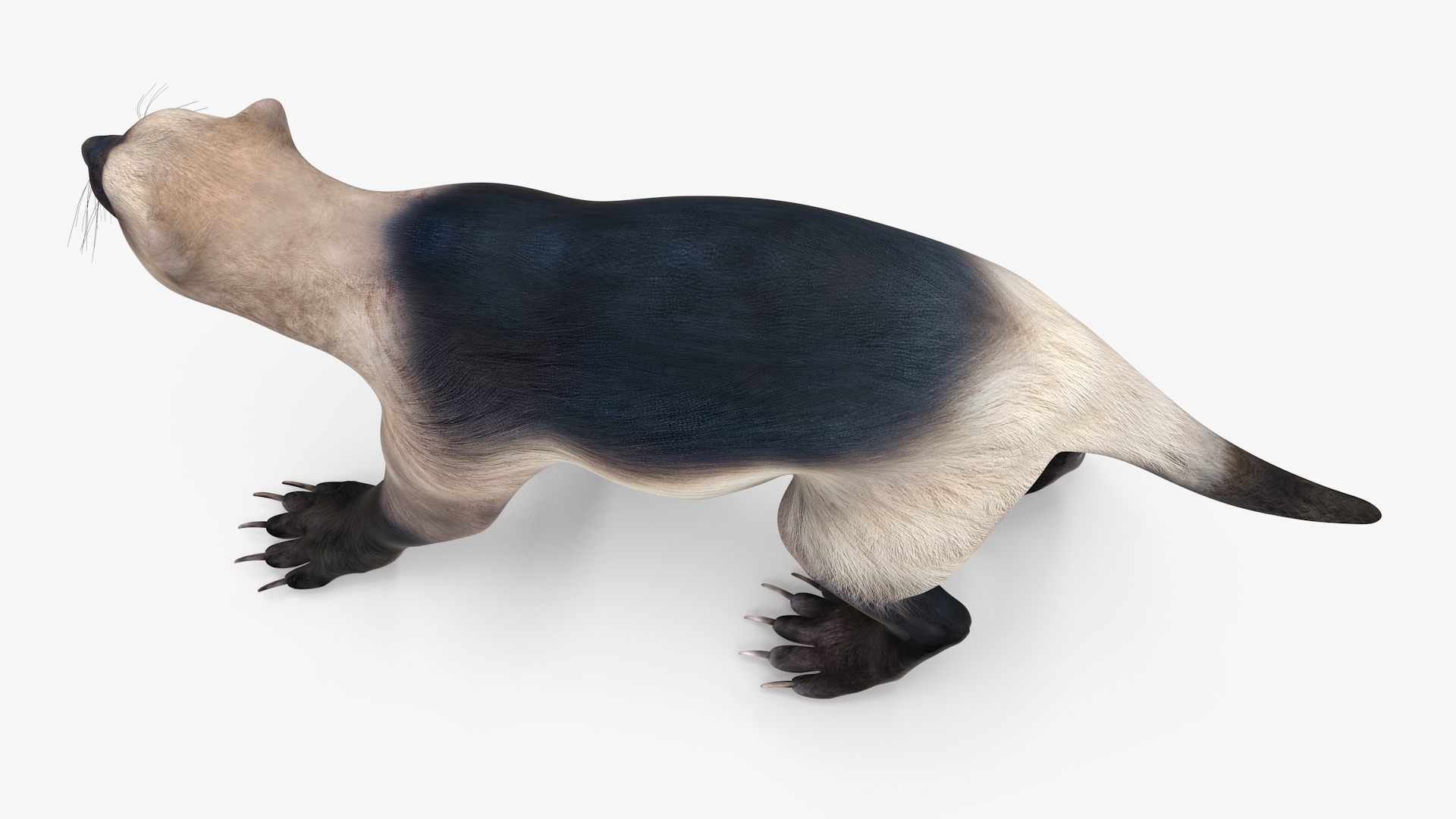 Wolverine Light Color Walking Pose 3D model
