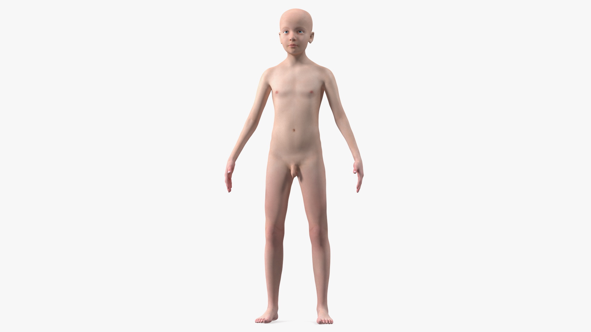 3D Young Man Full Body Anatomy Set