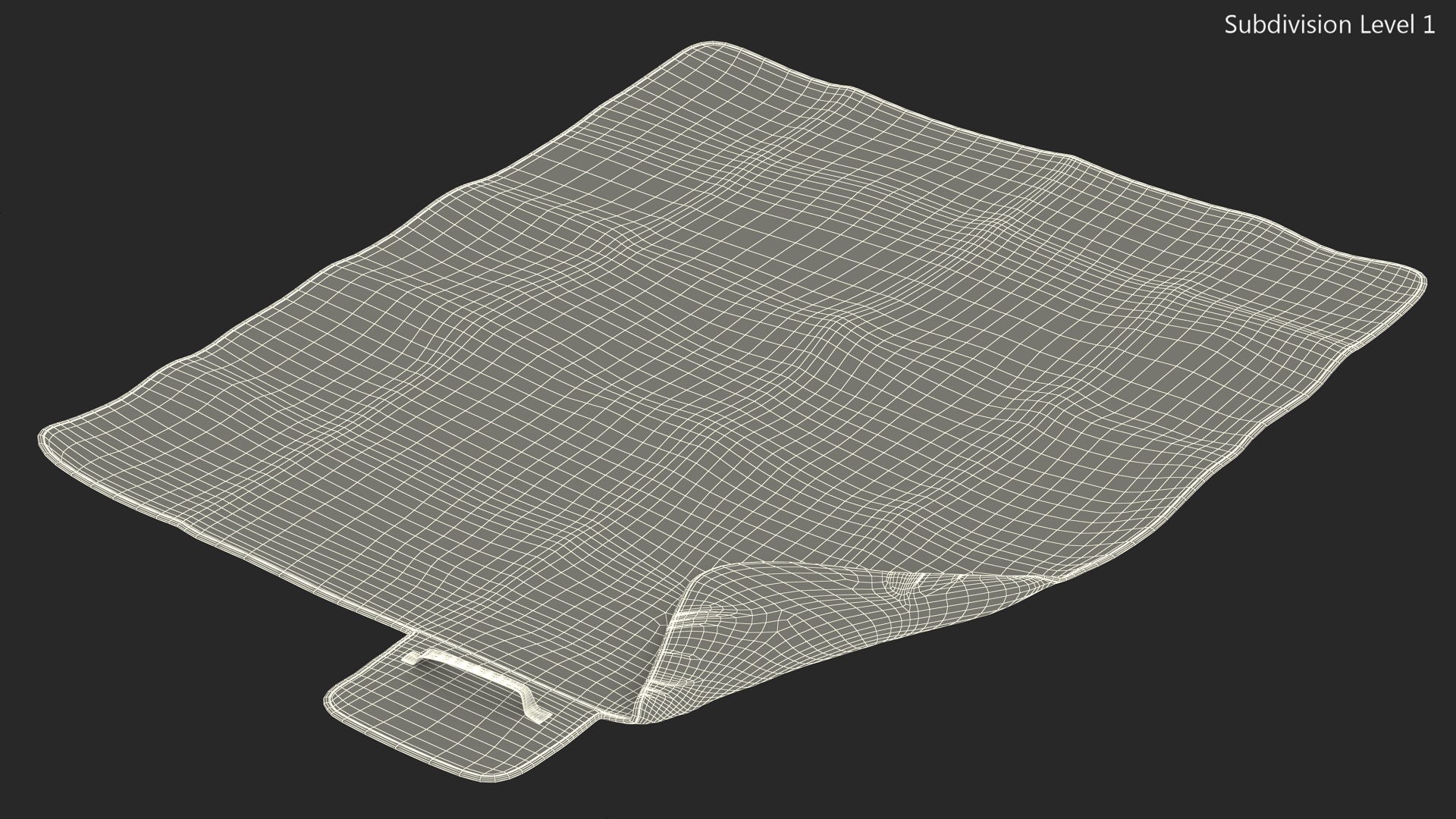 Large Picnic and Outdoor Blanket 3D